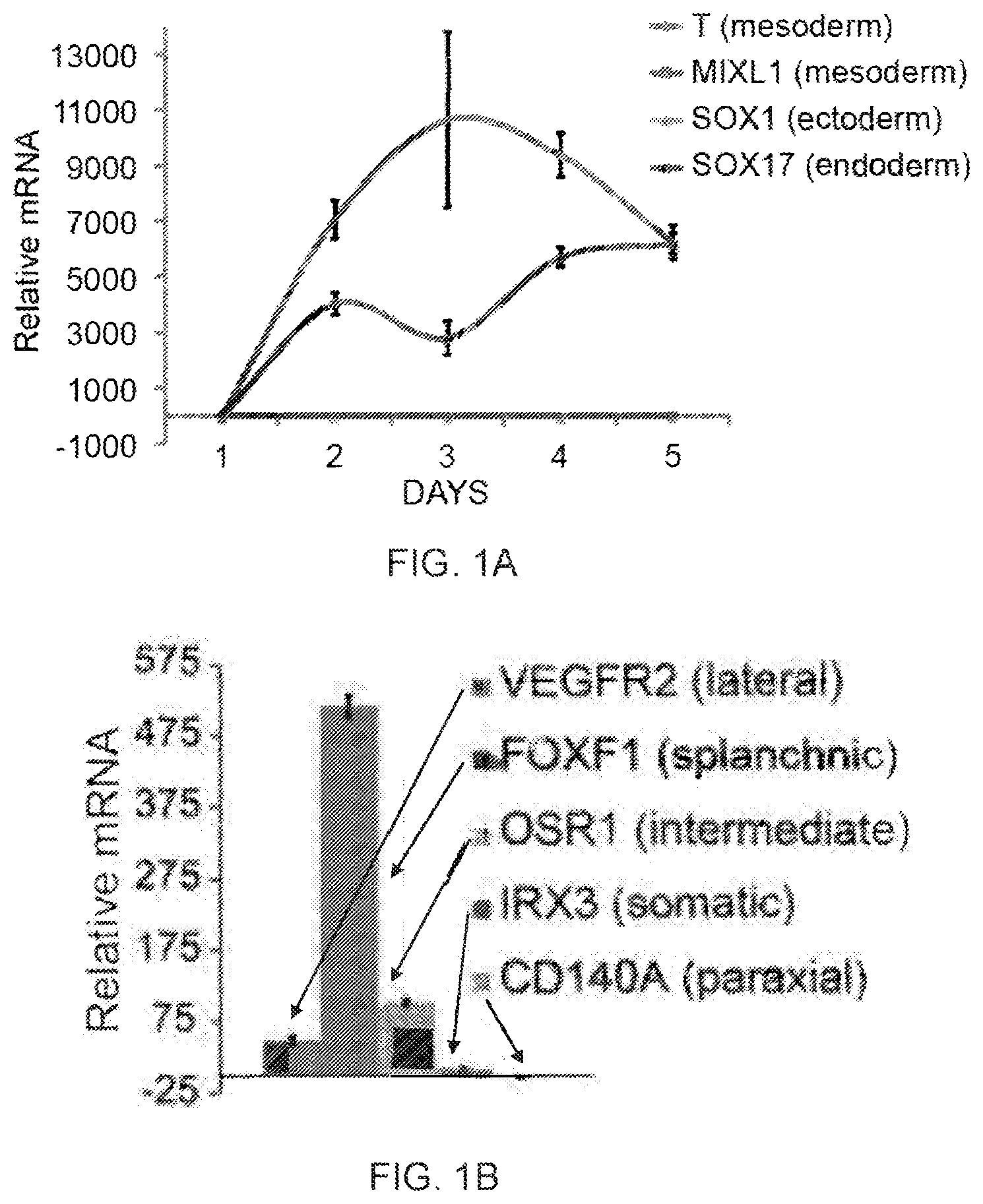 Patent US12312599 Figure 1 – Methods, compositions, and kits for producing beige adipocytes and treating metabolic disorders