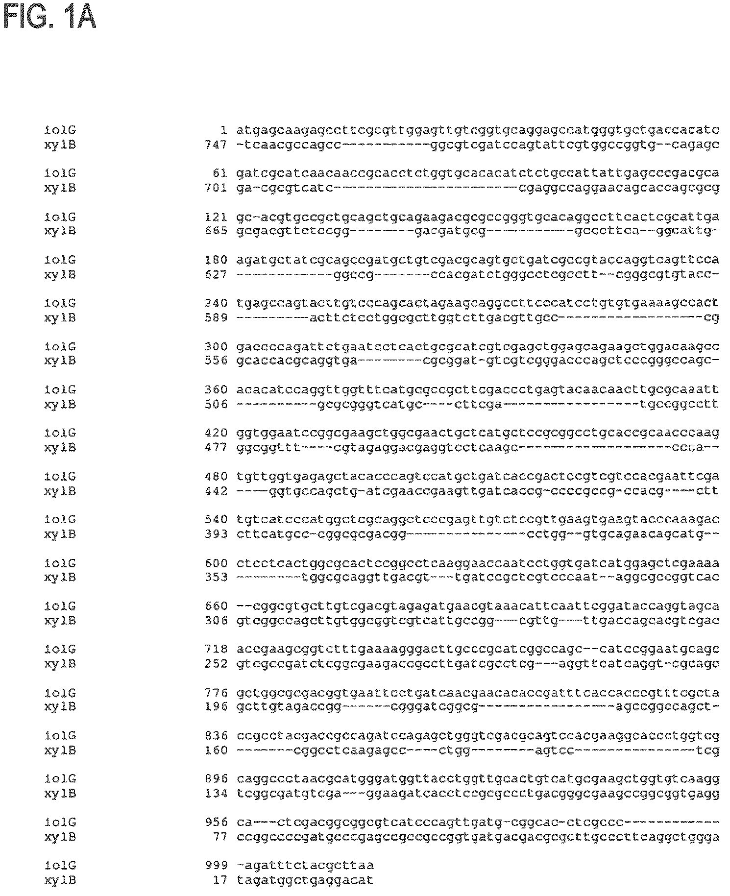 Patent US12312608 — D-xylose dehydrogenase from coryneform bacteria and process for preparing D-xylonate — Figure 1