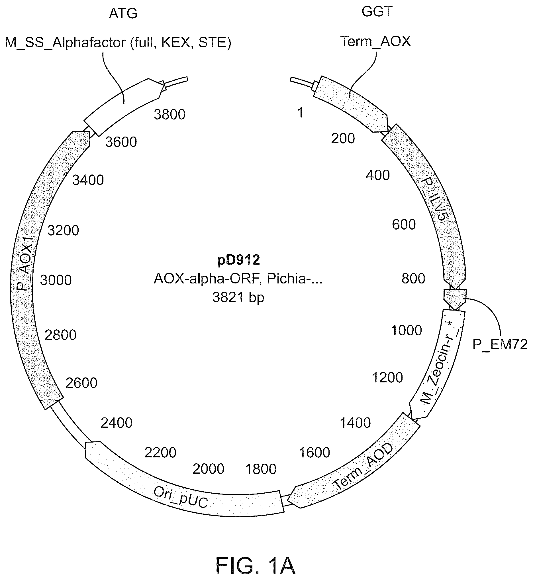 Patent US12312610 — Vaccinia capping enzyme compositions and methods — Figure 1