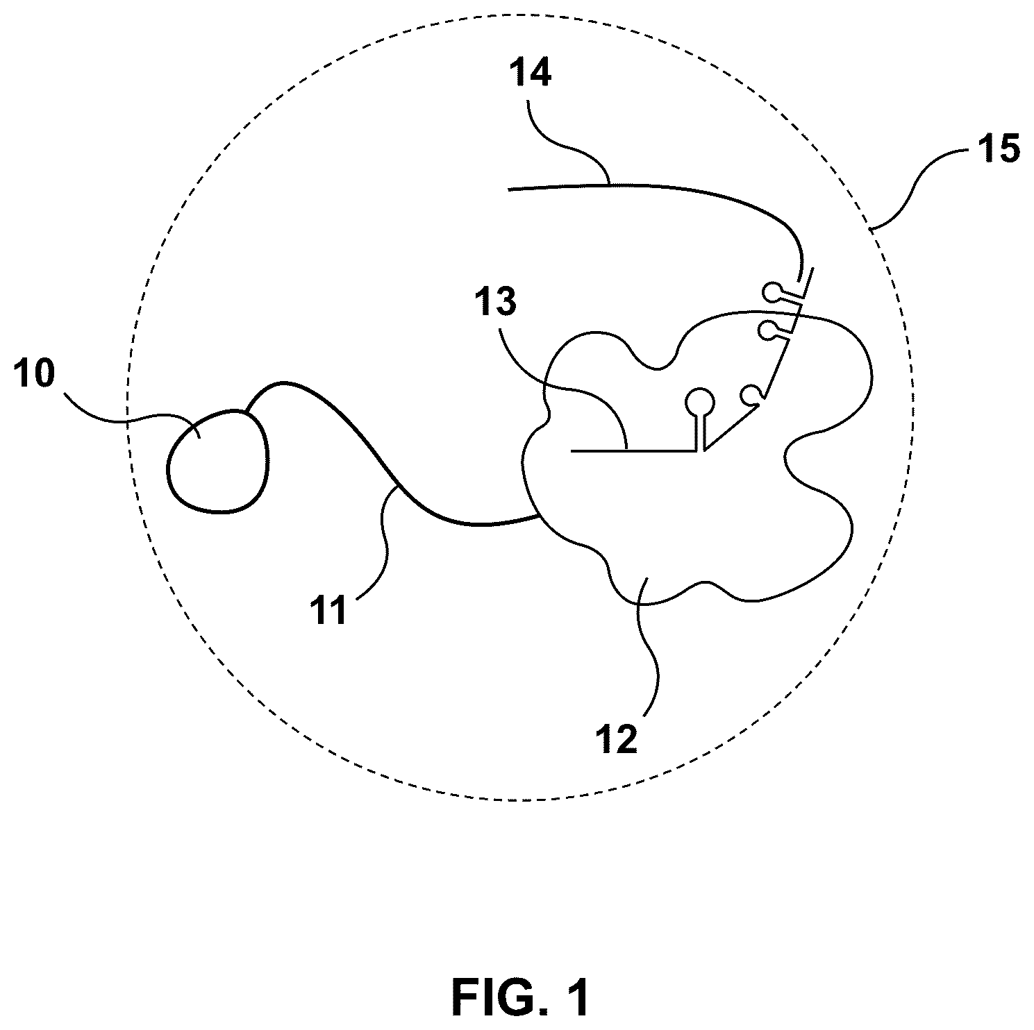 Patent US12312615 Figure 1 – Lipid-encapsulated dual-cleaving endonuclease for DNA and gene editing
