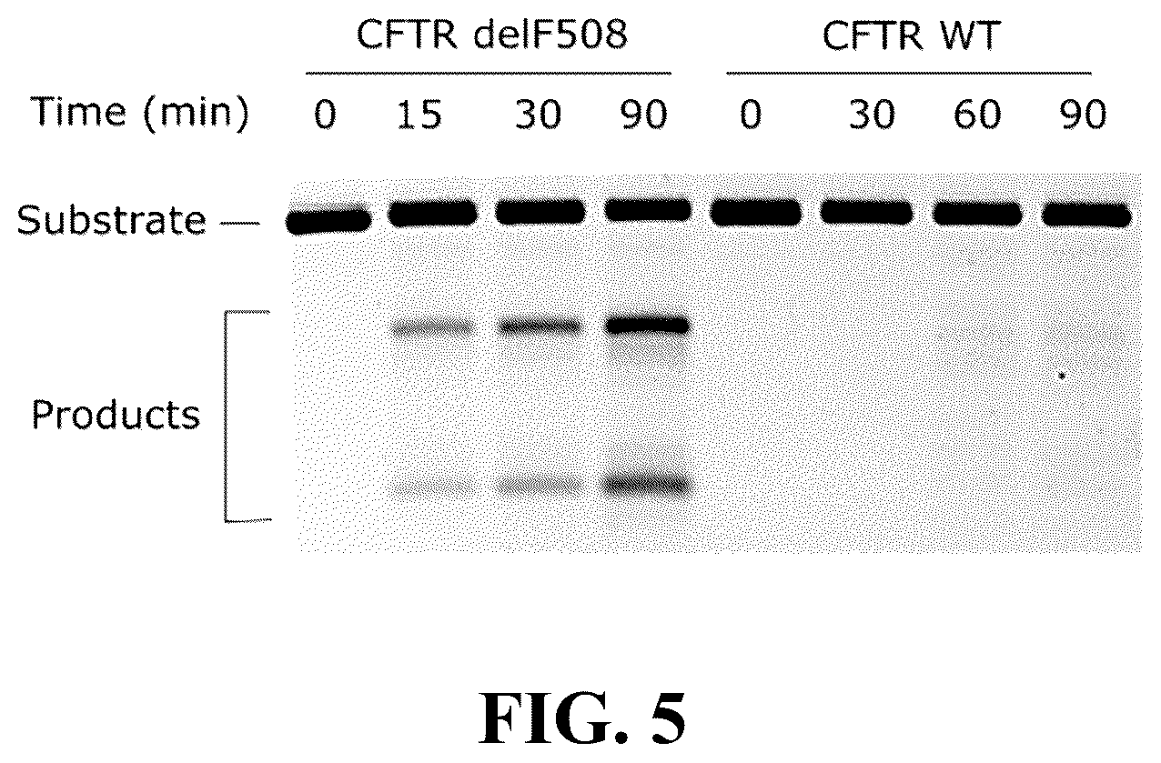 Patent US12312615 Figure 5 – Lipid-encapsulated dual-cleaving endonuclease for DNA and gene editing