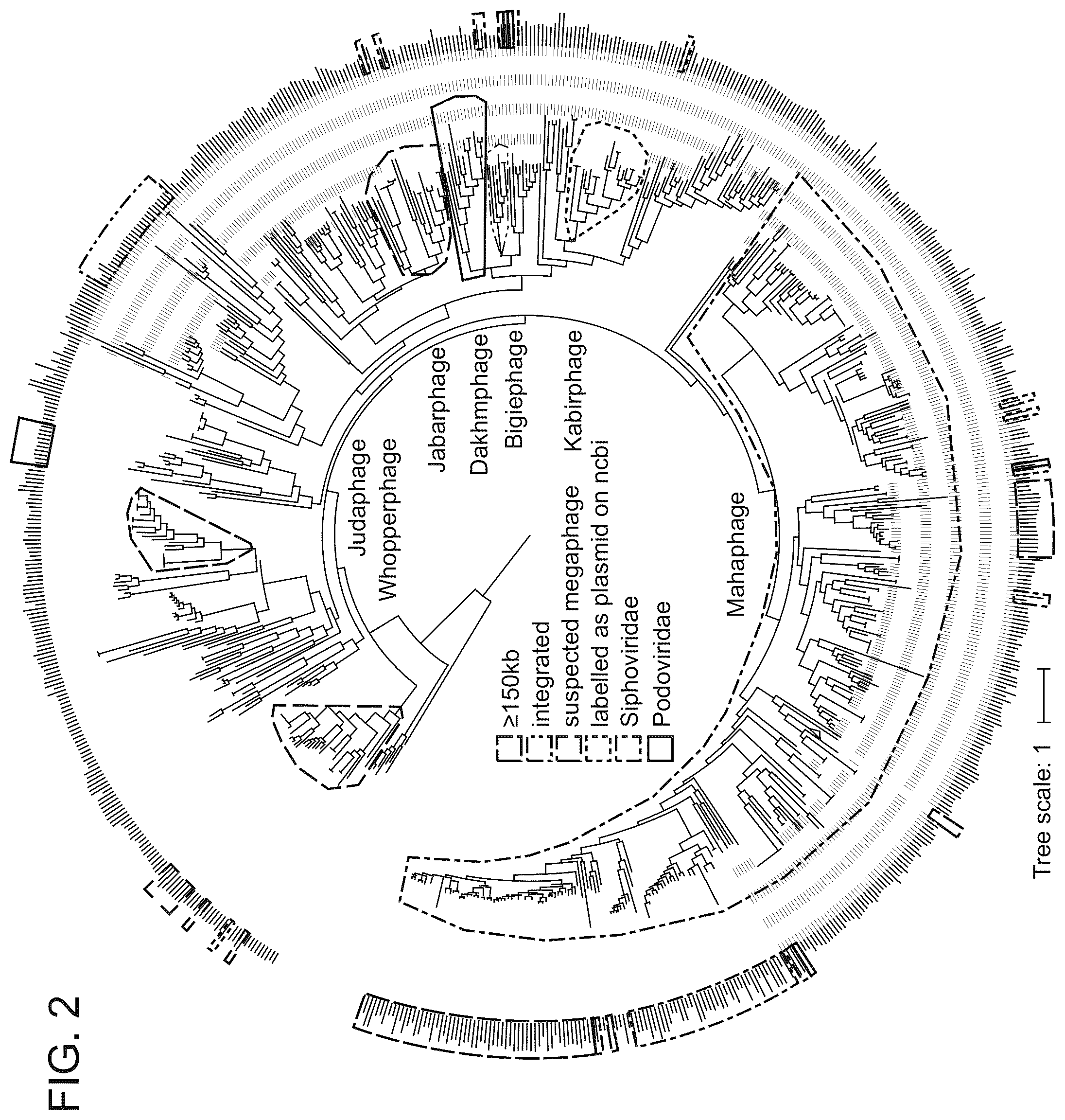 Patent US12312616 Figure 3 – CRISPR-Cas effector polypeptides and methods of use thereof