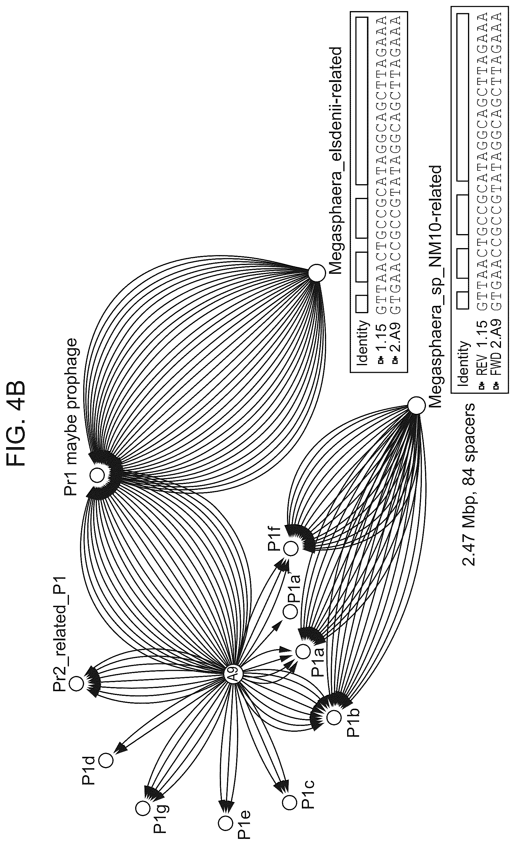 Patent US12312616 Figure 6 – CRISPR-Cas effector polypeptides and methods of use thereof