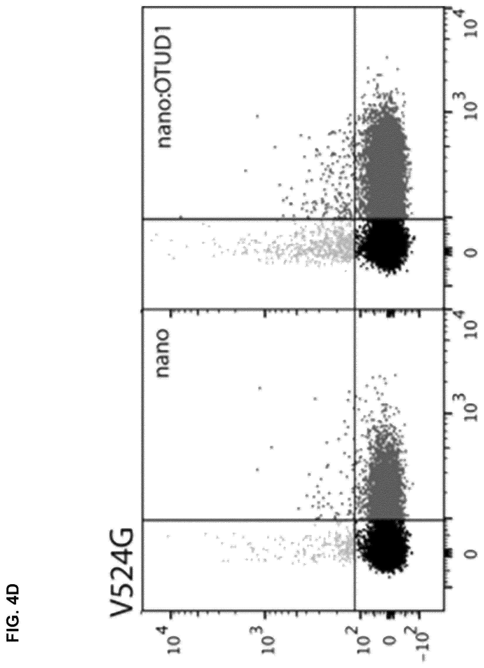 Patent US12312618 Figure 12 – Compositions and methods for using engineered deubiquitinases for probing ubiquitin-dependent cellular processes