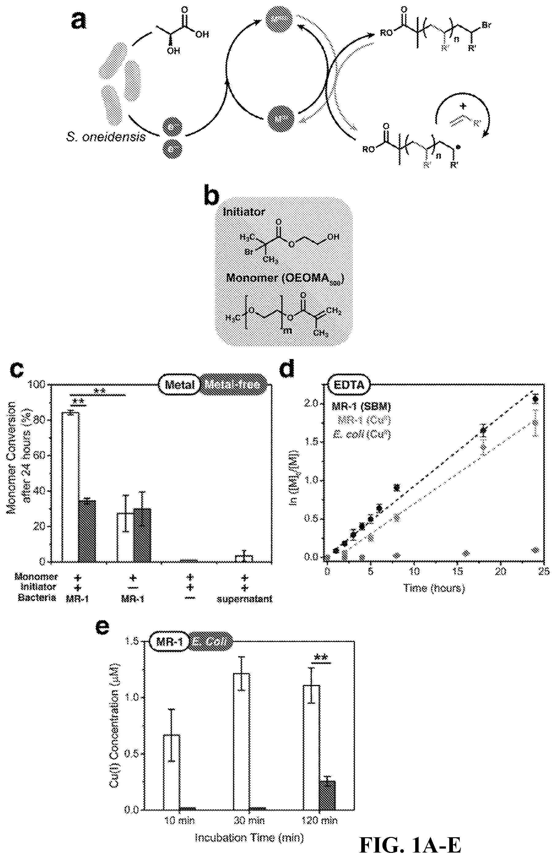 Patent US12312628 Figure 1 – Metabolic control over organometallic catalysts using electroactive bacteria