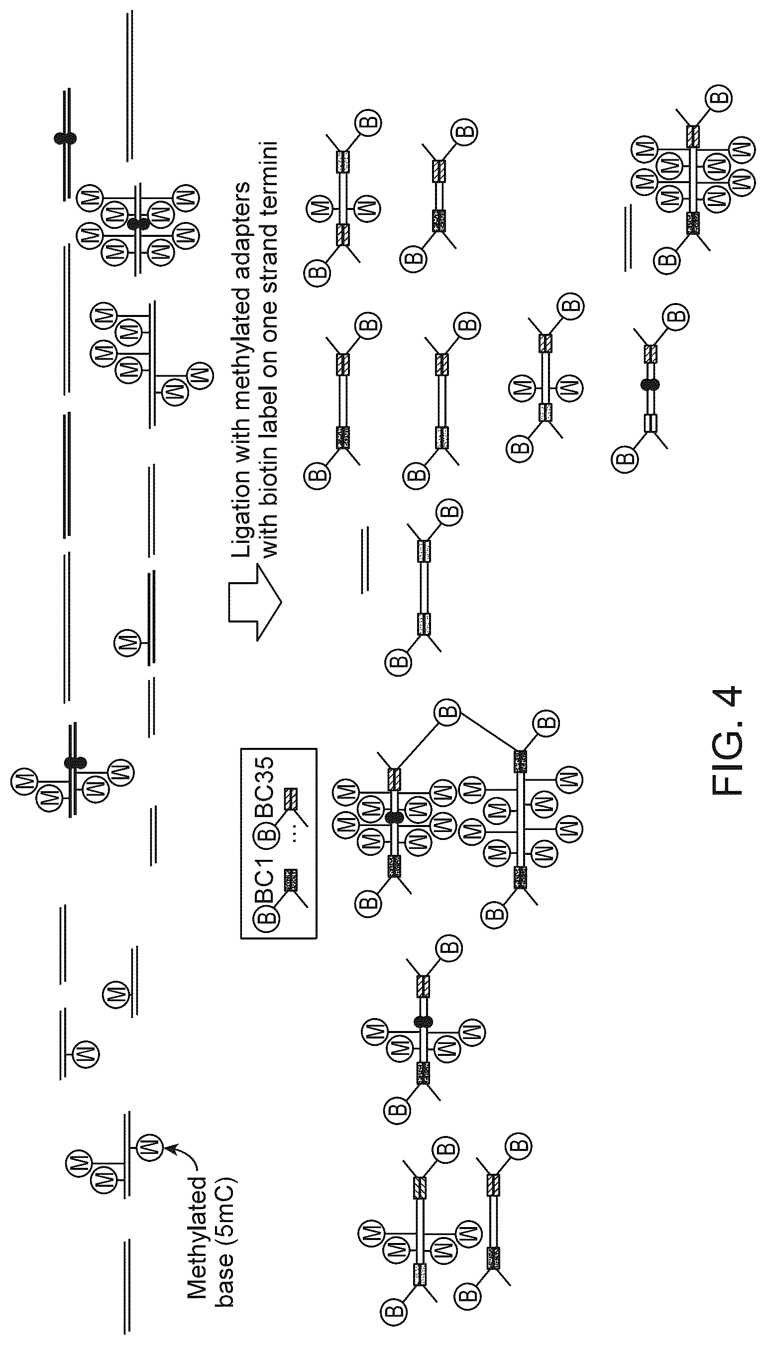 Patent US12312634 Figure 4 – Methods and systems for analyzing nucleic acid molecules