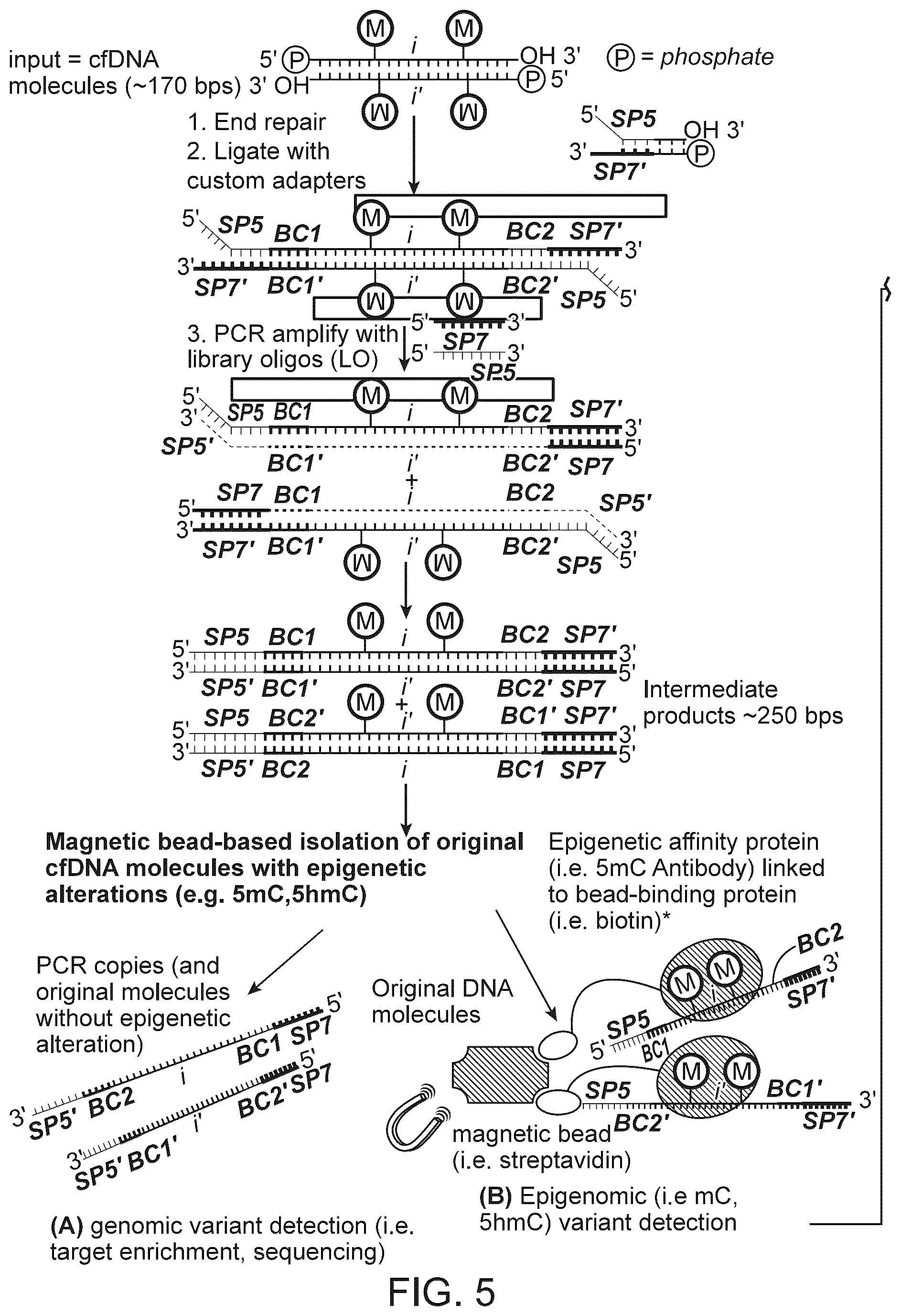 Patent US12312634 Figure 6 – Methods and systems for analyzing nucleic acid molecules