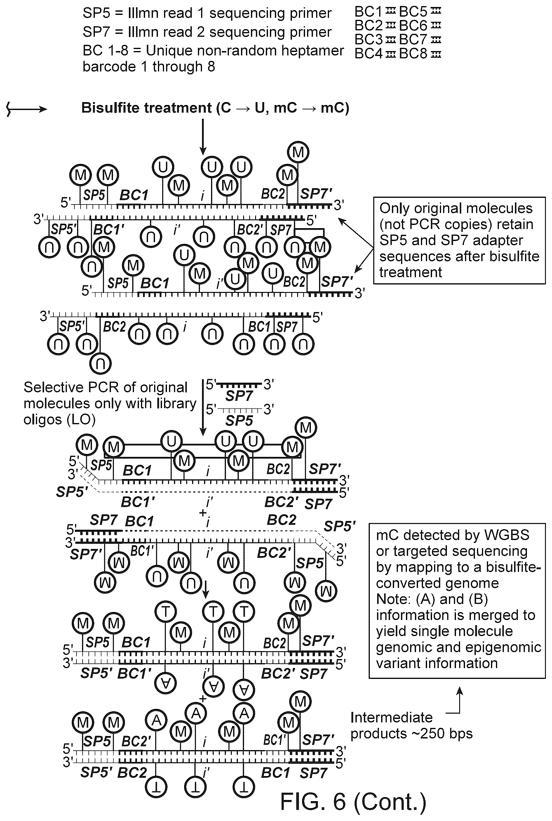 Patent US12312634 Figure 9 – Methods and systems for analyzing nucleic acid molecules
