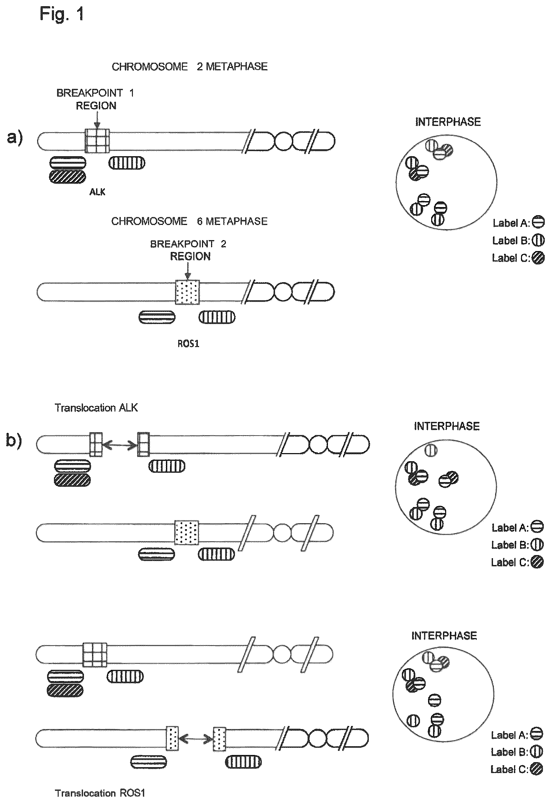 Patent US12312635 — Method for detecting chromosomal abnormalities — Figure 1