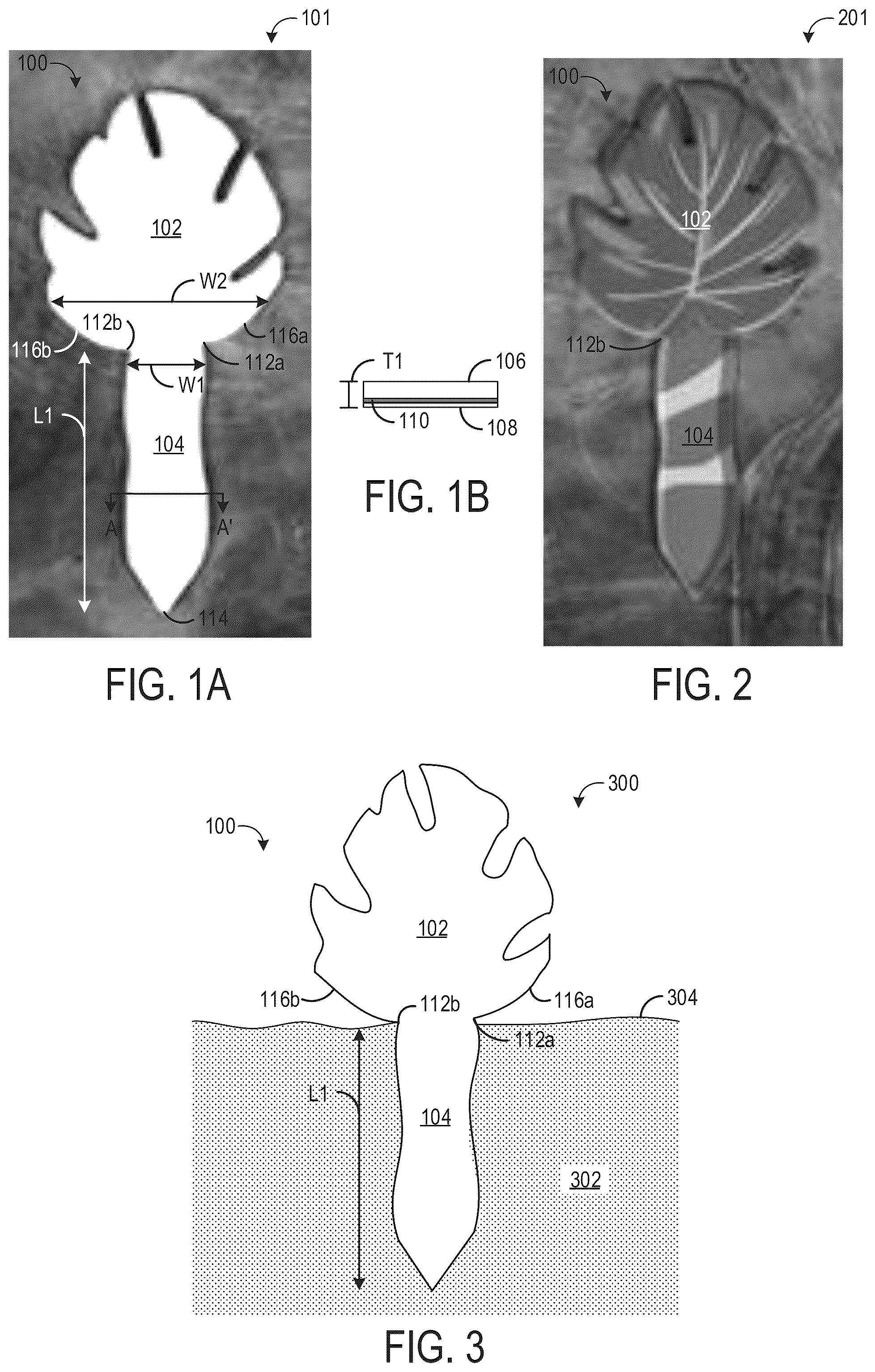 Patent US12313543 — Indicator for soil moisture content — Figure 1
