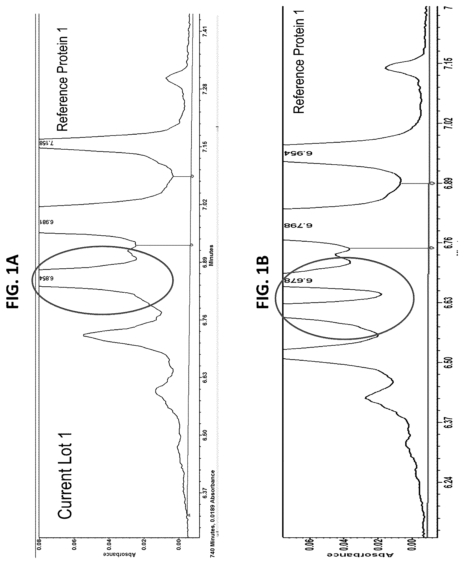 Patent US12313589 Figure 1 – Liquid chromatography-mass spectrometry (LC-MS) methods for analyzing ampholyte lot variation