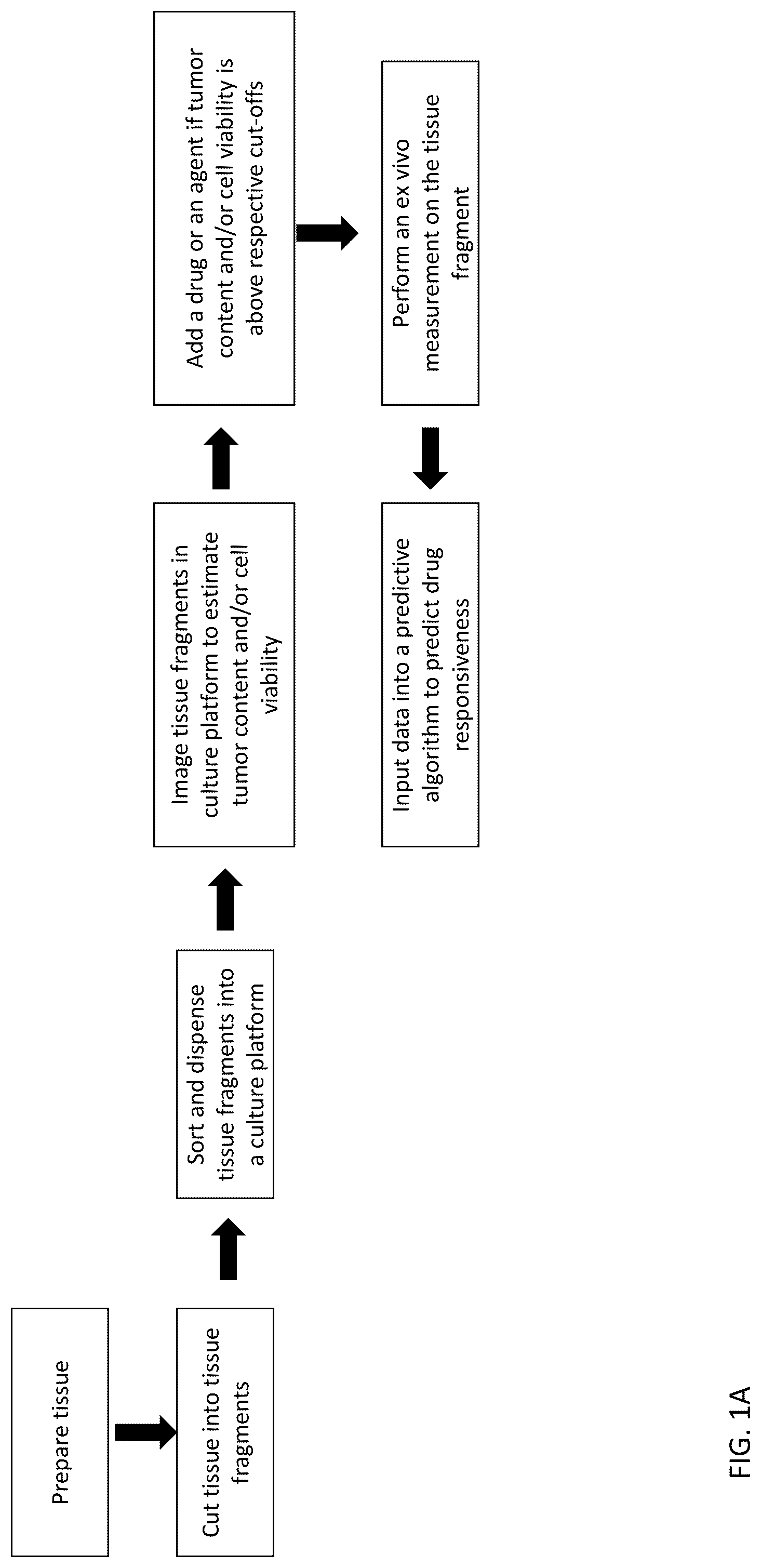 Patent US12313624 — Ex vivo systems and methods for determining the effect of a drug or other agent on a tissue — Figure 1