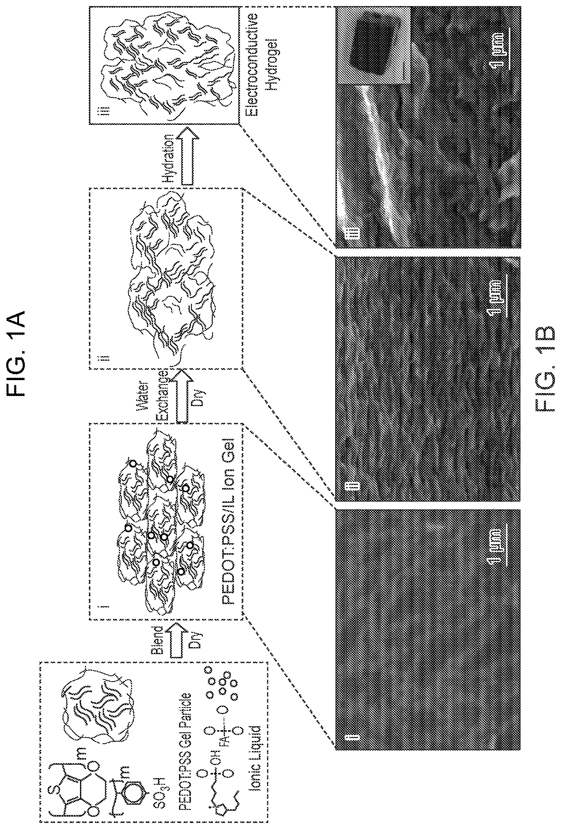 Patent US12313969 — Lithographically patterned electrically conductive hydrogels, photo-curable compositions, and elastomers formed from such compositions — Figure 1