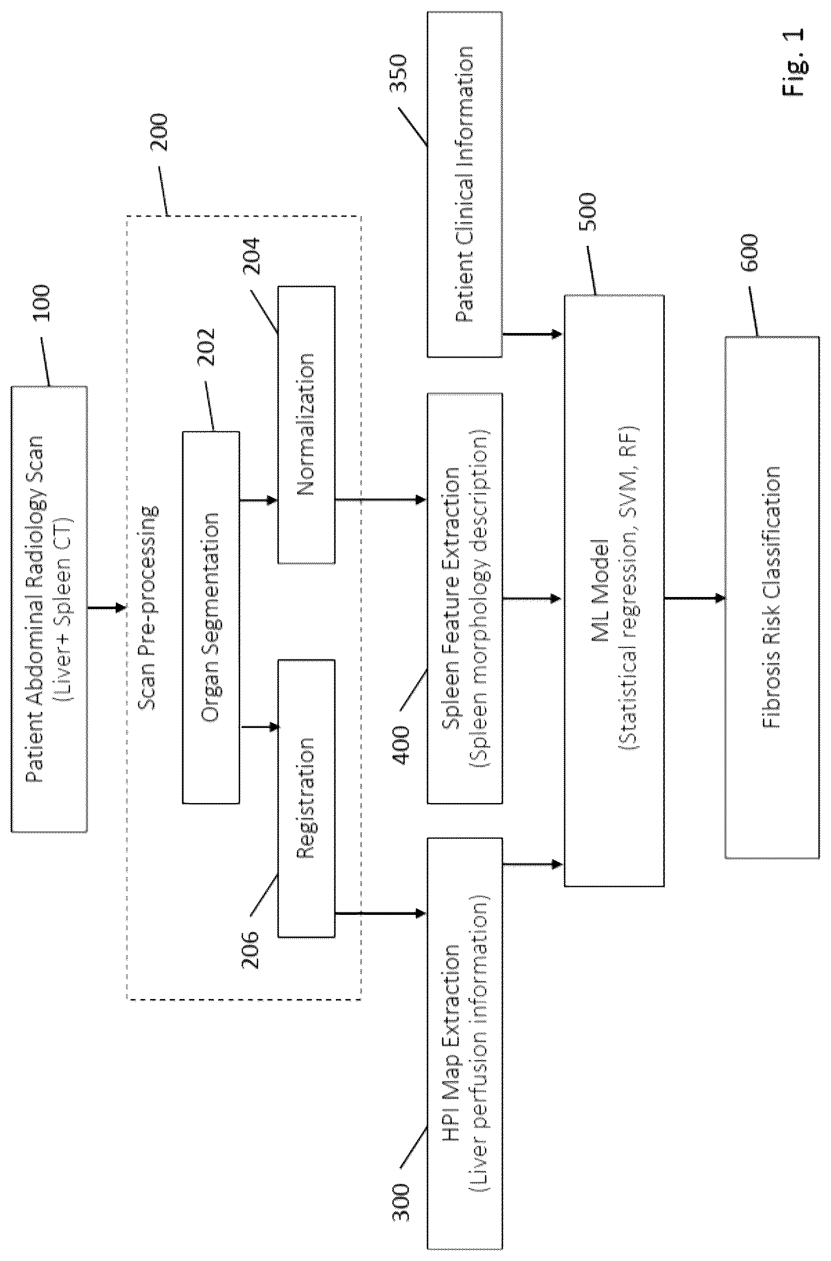 Patent US12315147 — Automated pattern recognition and scoring method of fibrosis from non invasive radiology imaging — Figure 1
