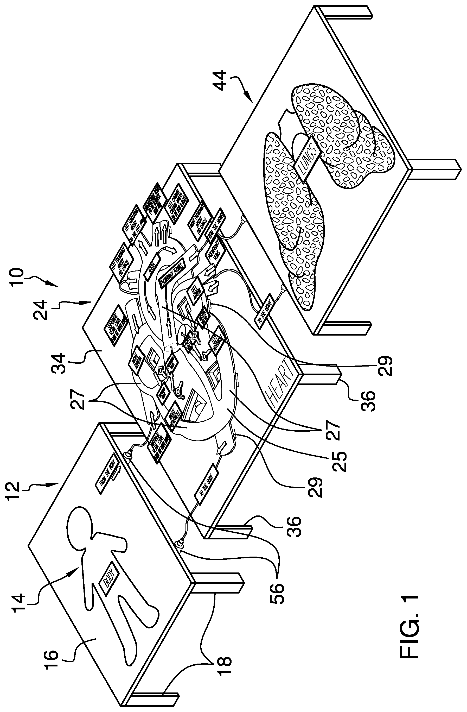 Patent US12315389 — Anatomy education assembly — Figure 1