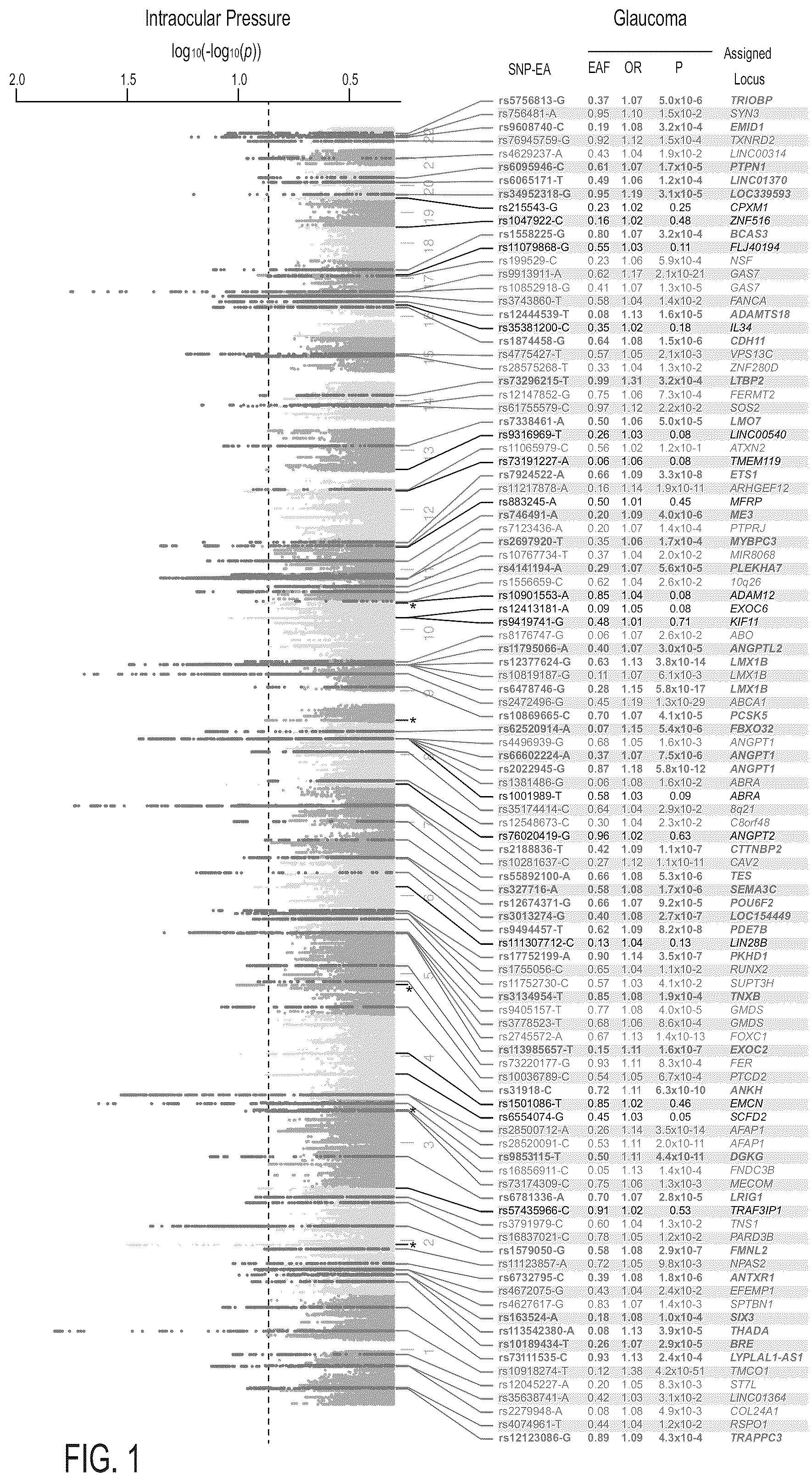 Patent US12315597 — Methods and systems for assessing the risk of glaucoma — Figure 1
