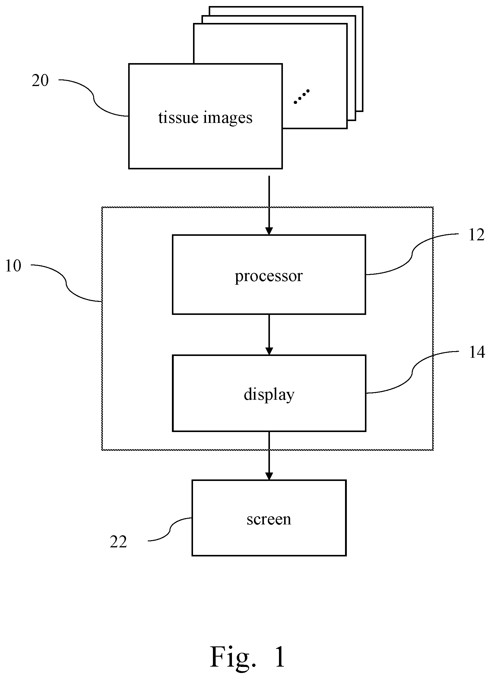 Patent US12315622 — Medical image paging display system — Figure 1