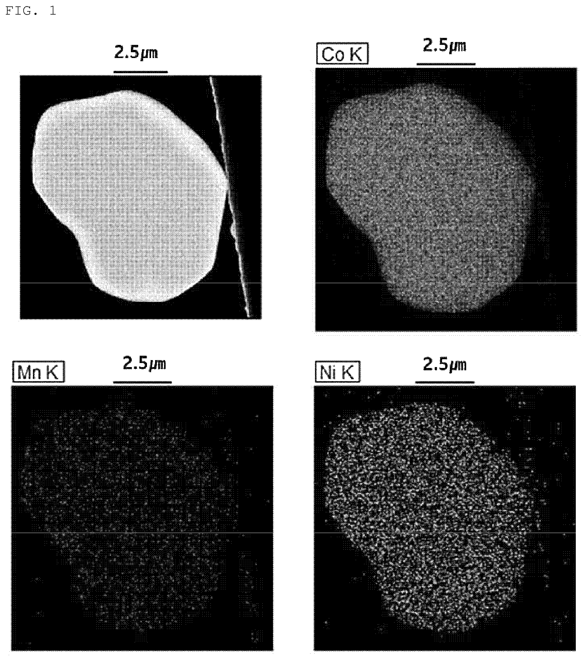 Patent US12315922 — Positive electrode active material and method for preparing the same — Figure 1