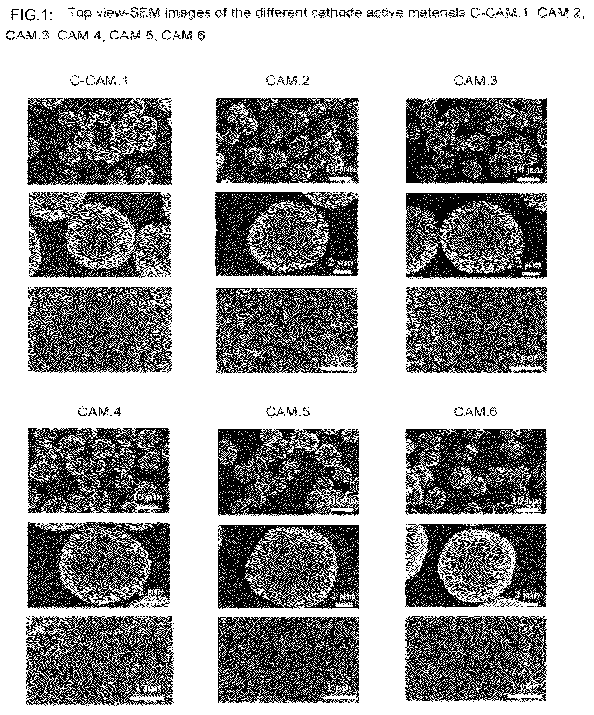 Patent US12315925 — Electrode active materials and method for their manufacture — Figure 1