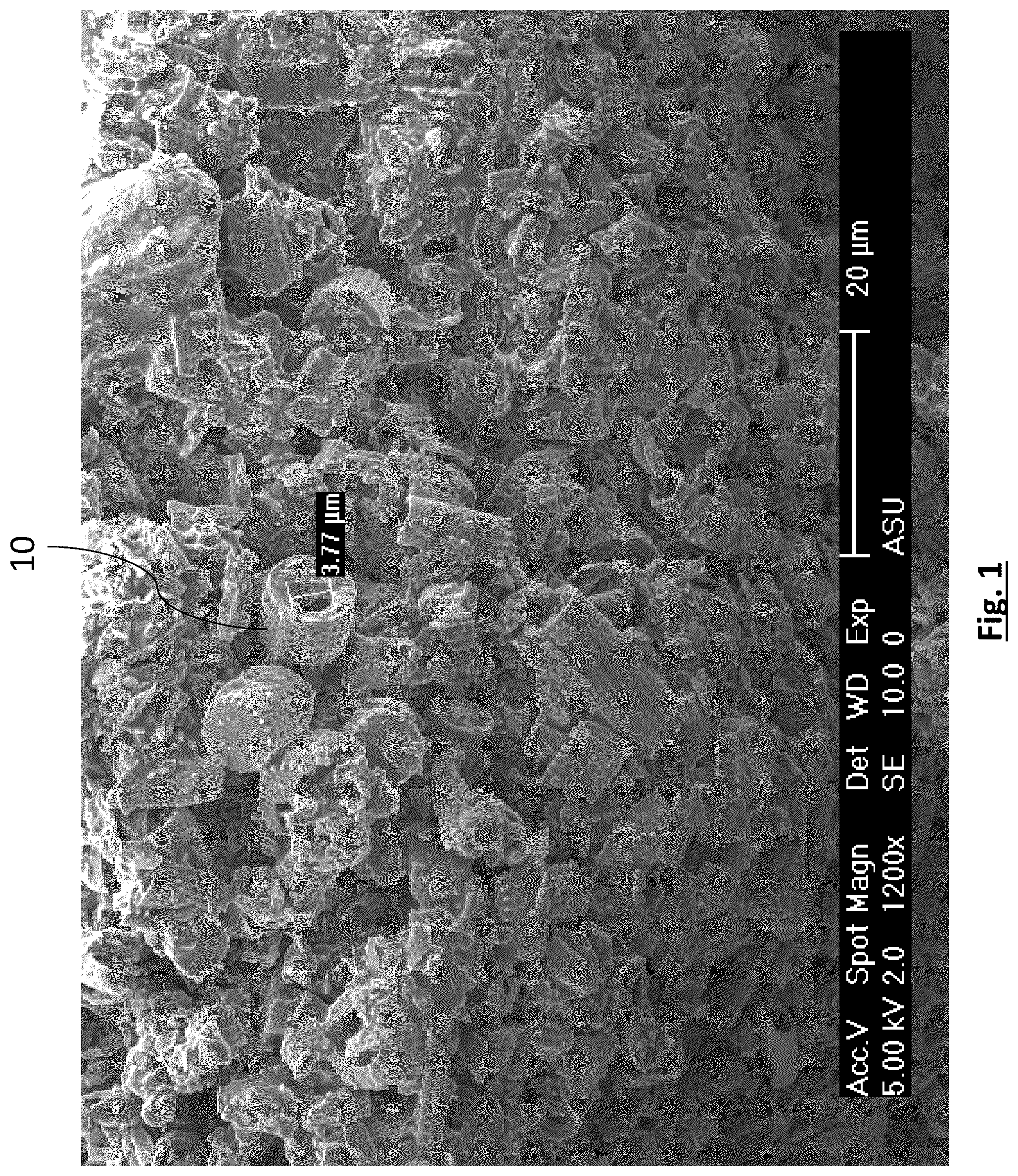 Patent US12315941 — Diatomaceous energy storage devices — Figure 1