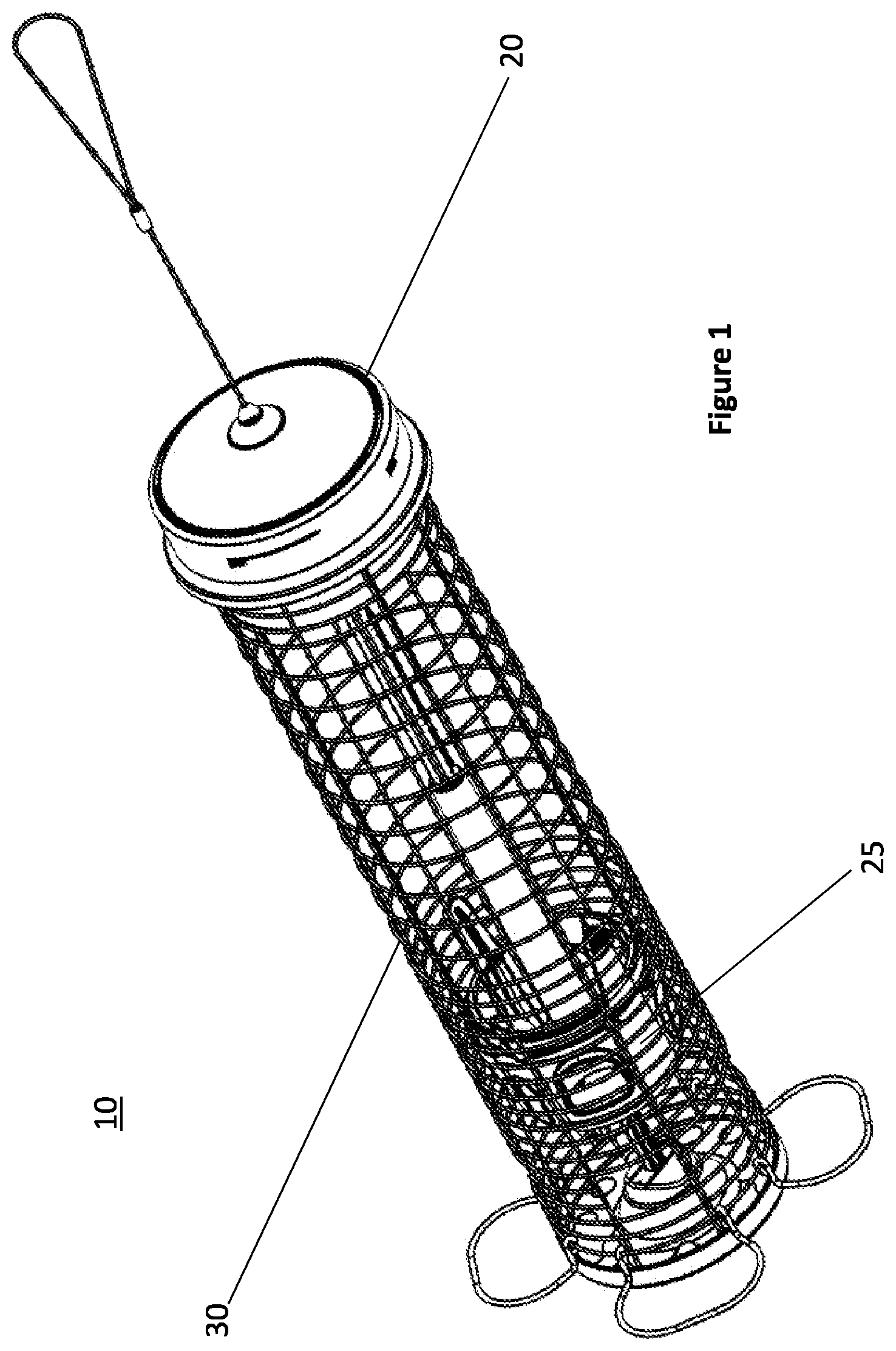 Patent US12317867 — Bird feeder — Figure 1