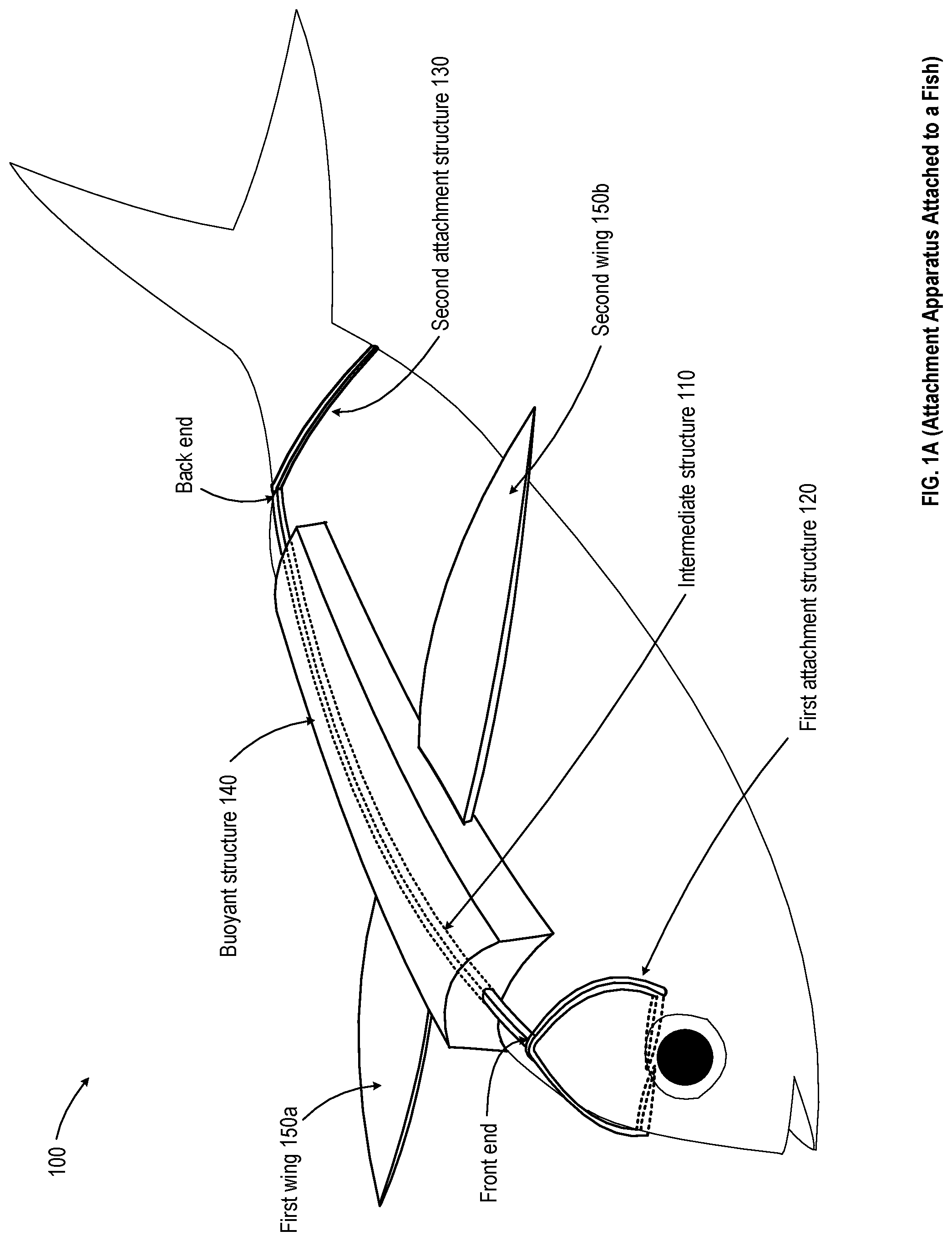 Patent US12317875 — Fish attachment apparatus — Figure 1