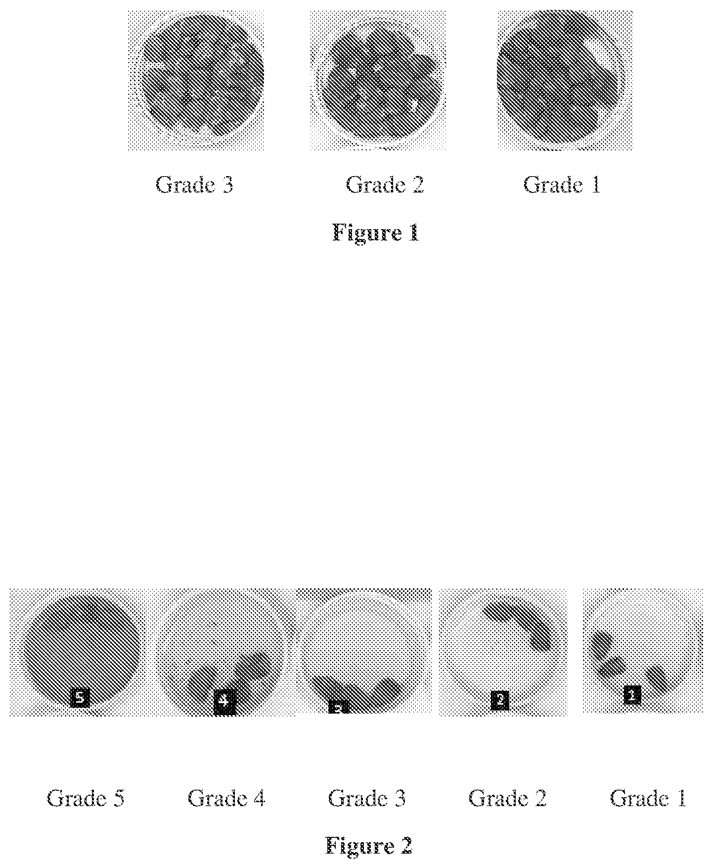 Patent US12317890 — Polar polyolefin dispersion based seed coating composition — Figure 1