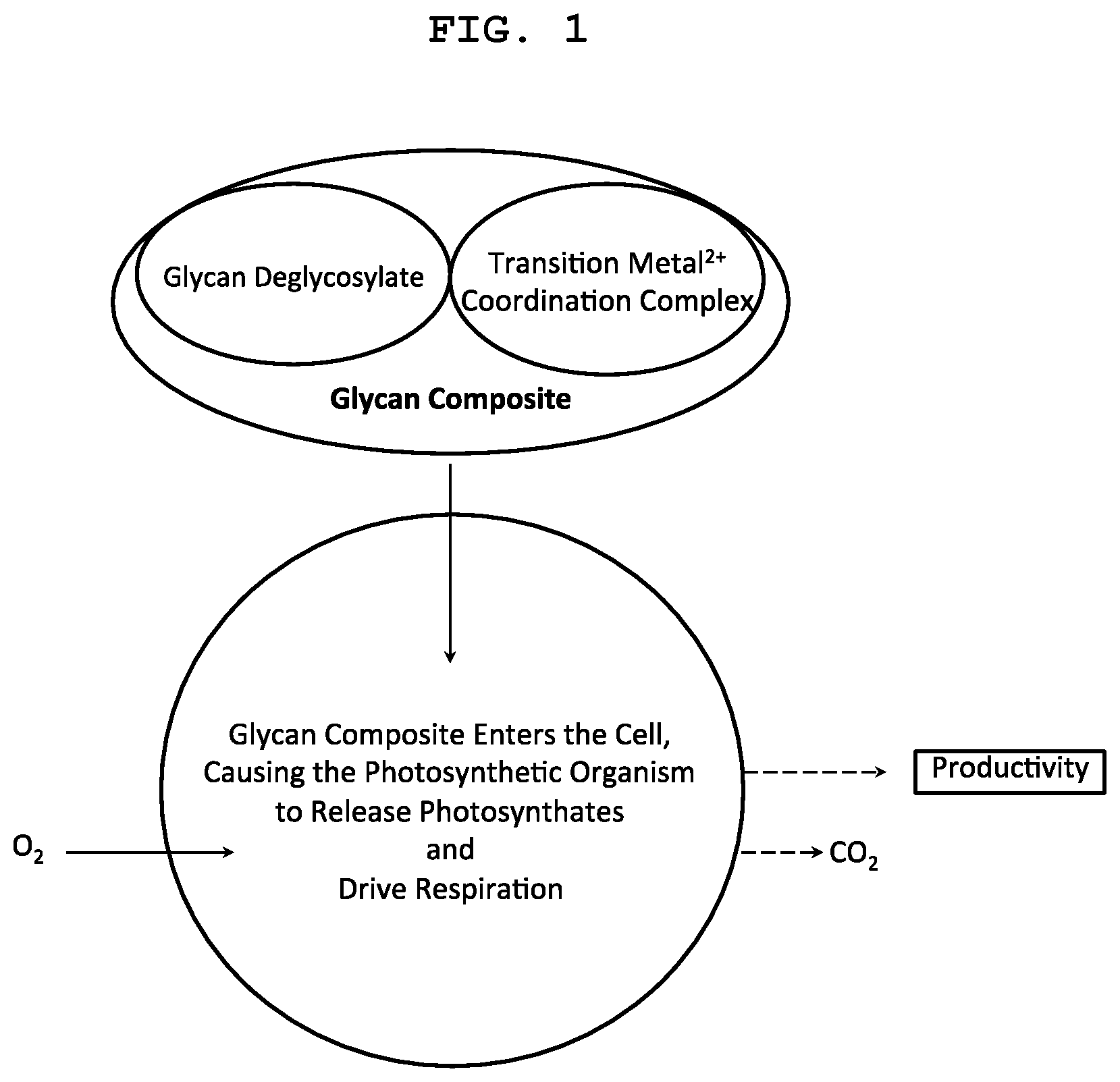 Patent US12317895 Figure 1 – Formulations and methods for treating photosynthetic organisms and enhancing qualities and quantities of yields with glycan composite formulations