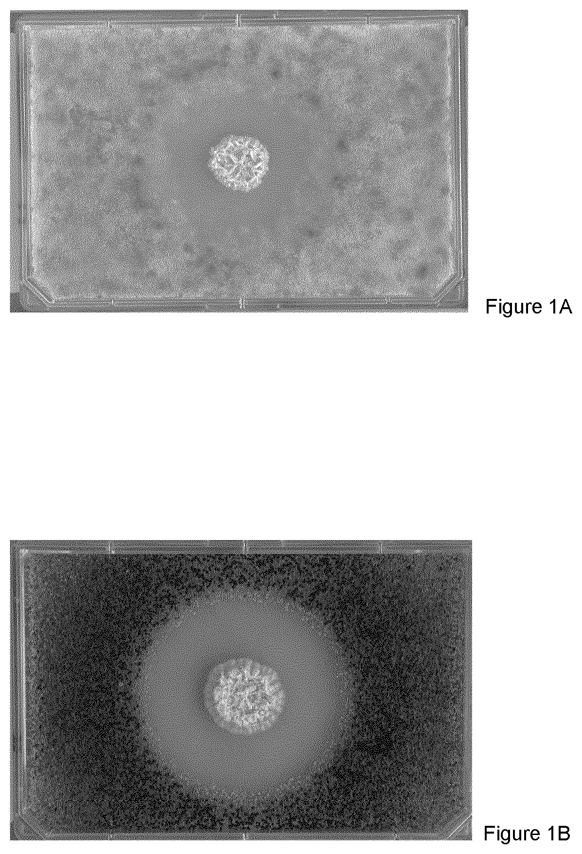 Patent US12317896 — Method of controlling fungi — Figure 1