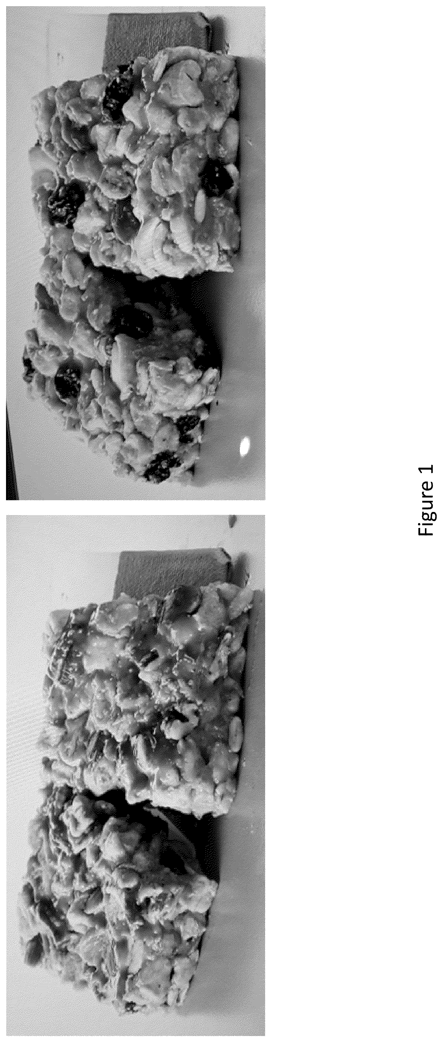 Patent US12317910 — Shelf-stable food composition — Figure 1
