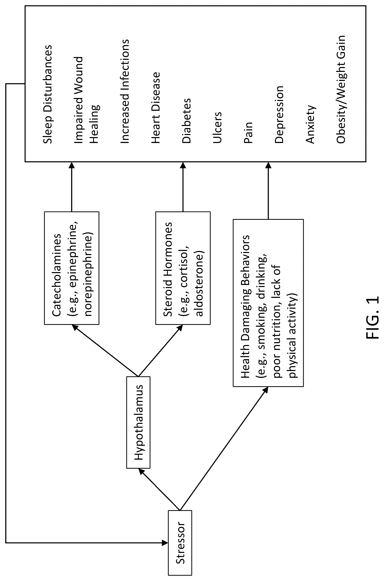 Patent US12318214 — Stress reduction and sleep promotion system — Figure 1