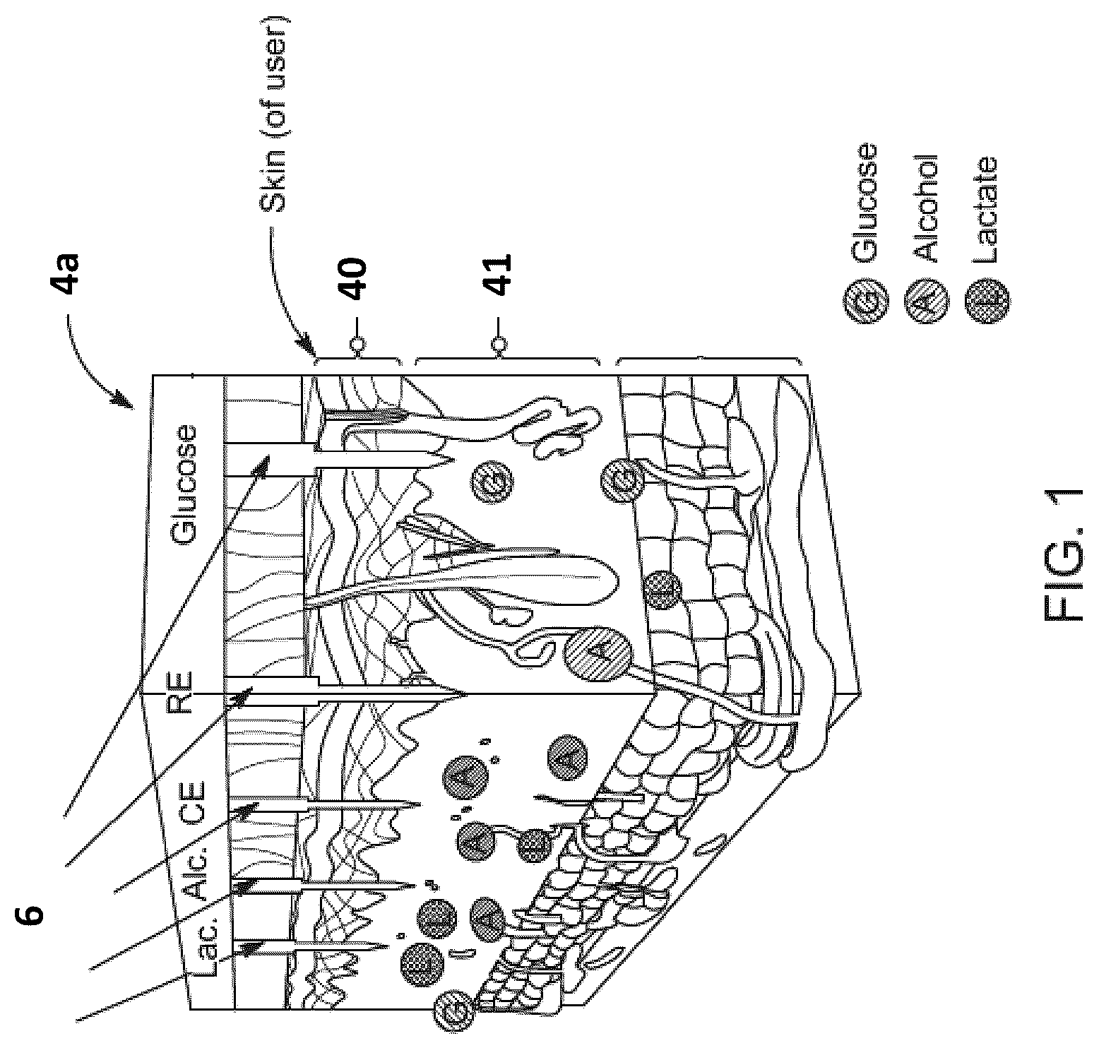 Patent US12318224 — Wearable biosensor device — Figure 1