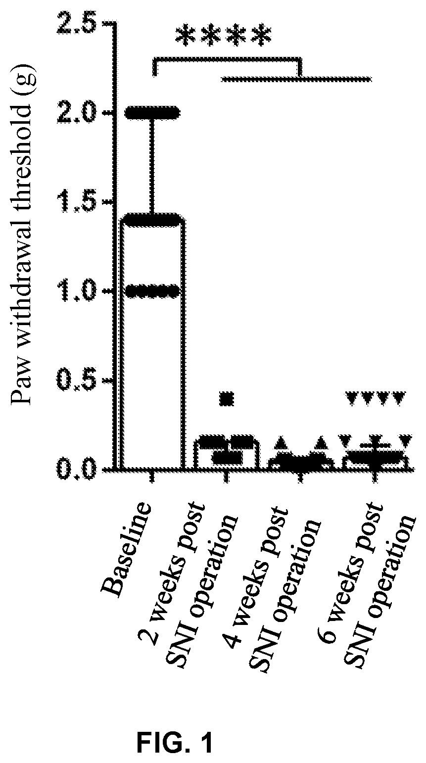 Patent US12318369 — Analgesic and antipruritic pharmacertical composition and application thereof — Figure 1