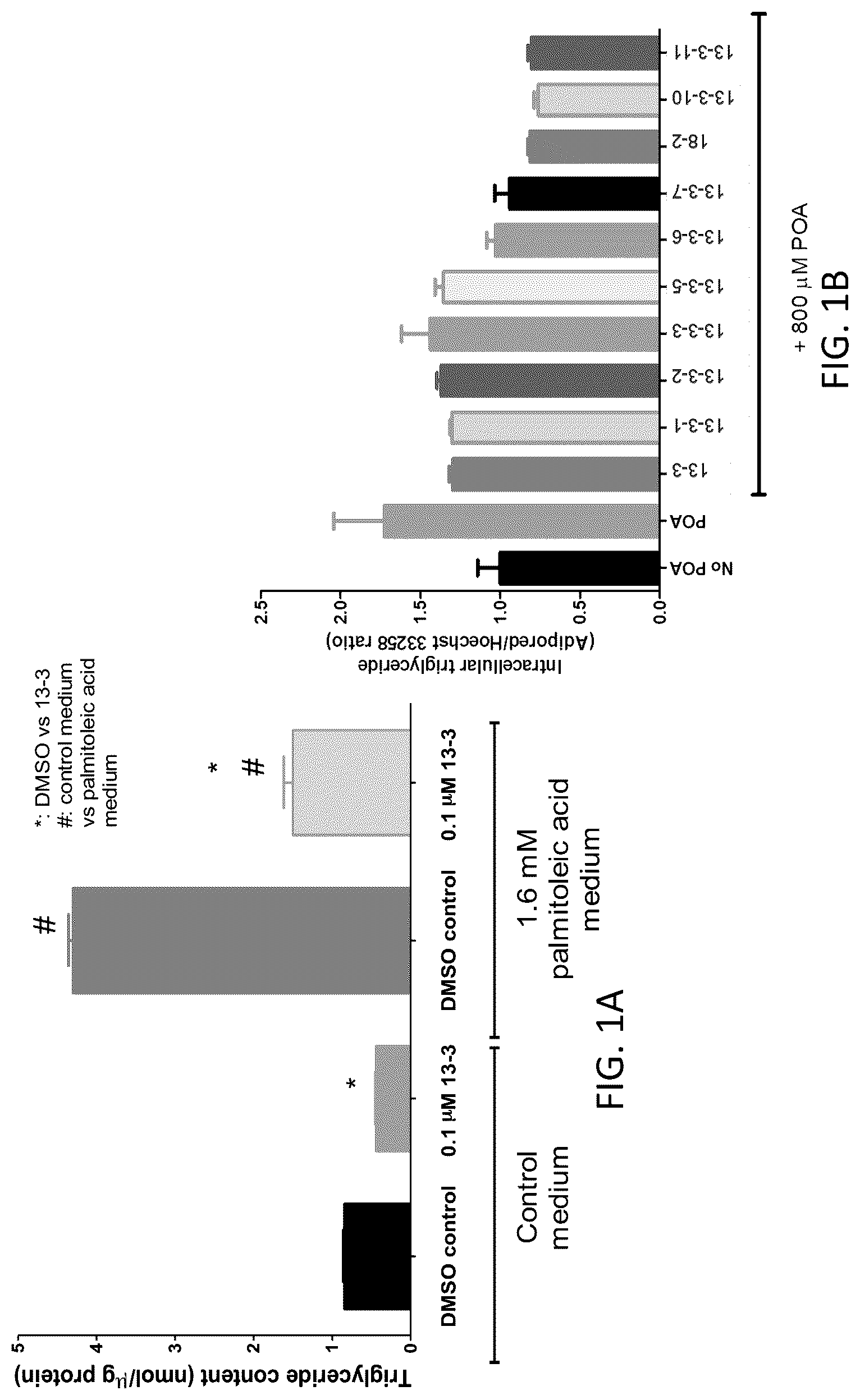 Patent US12318381 — Treatment for non-alcoholic fatty liver disease — Figure 1