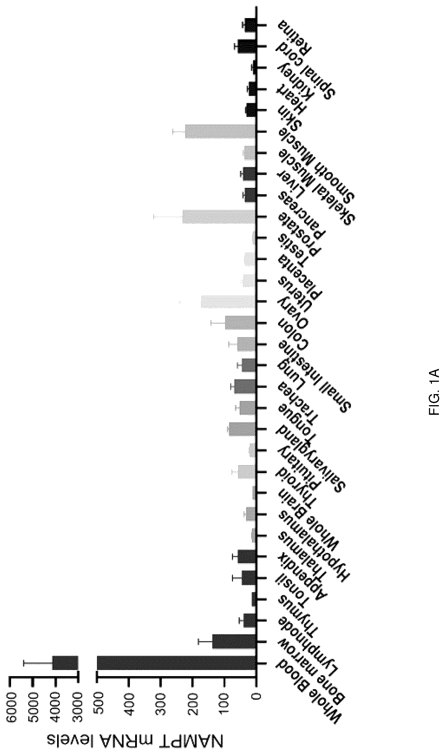 Patent US12318402 — Composition for treating or preventing colitis by NAMPT metabolic regulation — Figure 1