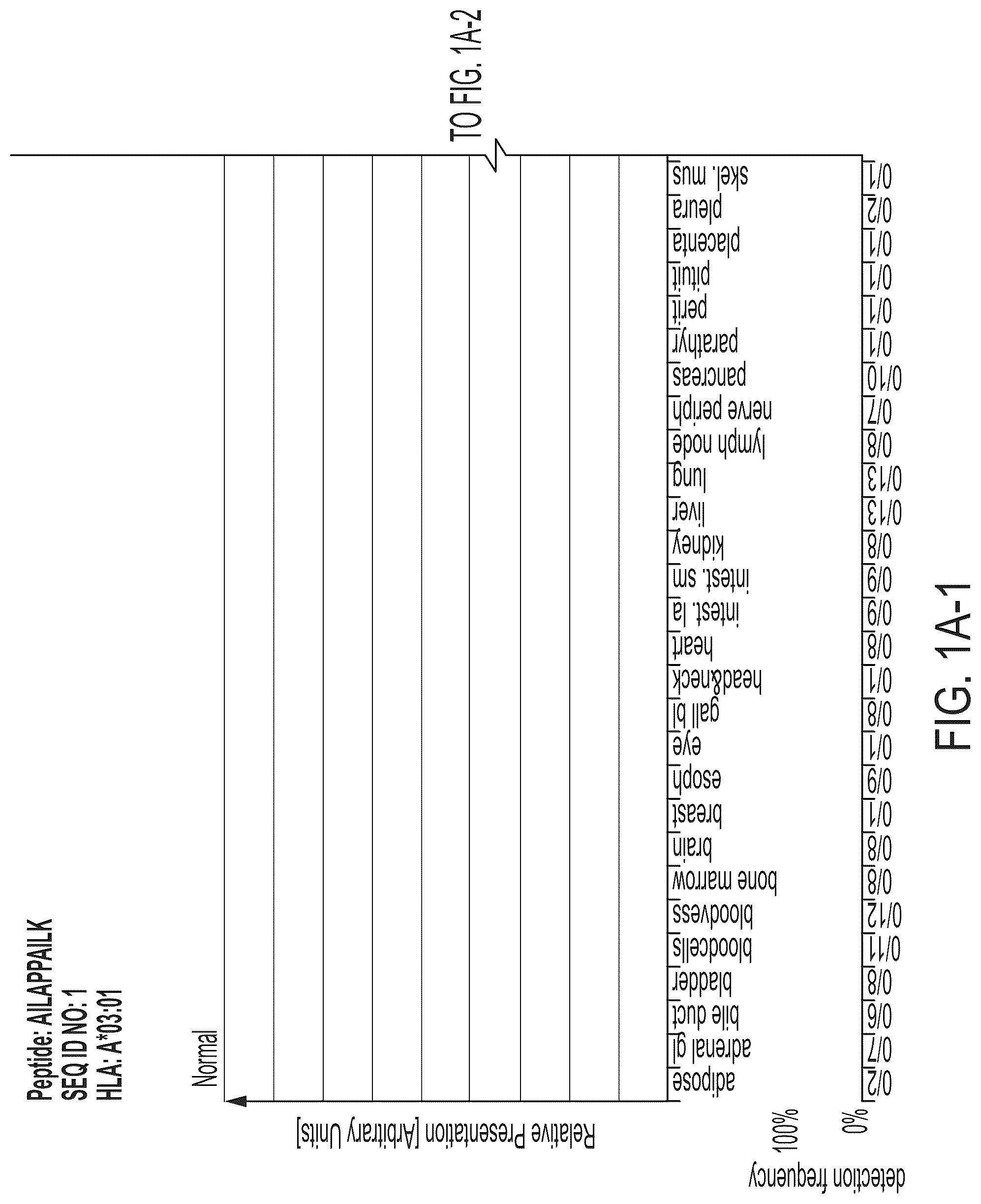 Patent US12318407 — Peptides displayed by HLA for use in immunotherapy against different types of cancers — Figure 1