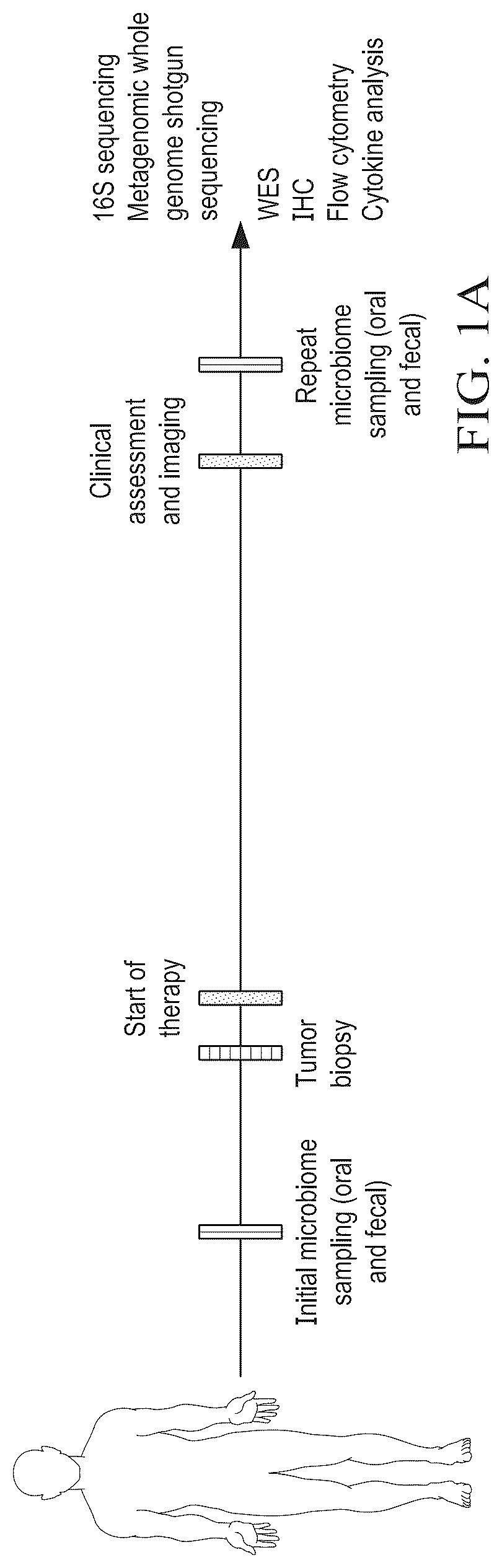 Patent US12318413 Figure 1 – Methods for enhancing immune checkpoint blockade therapy by modulating the microbiome