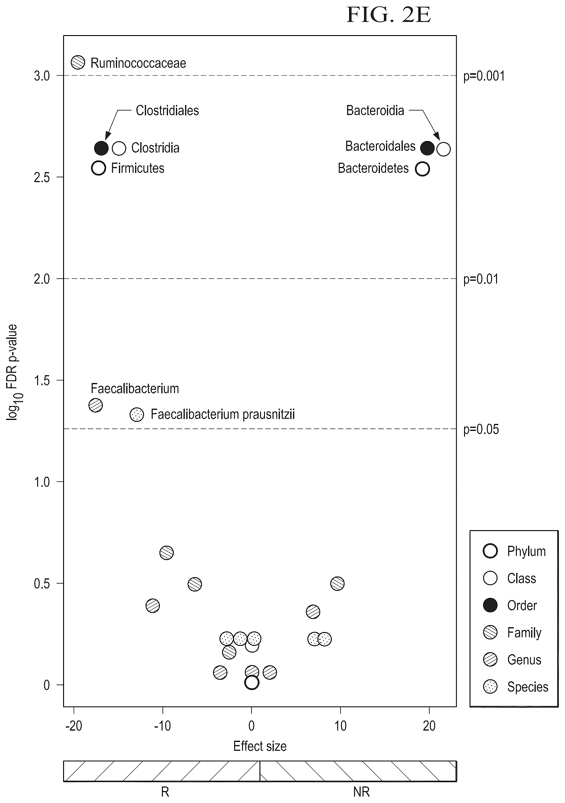 Patent US12318413 Figure 12 – Methods for enhancing immune checkpoint blockade therapy by modulating the microbiome