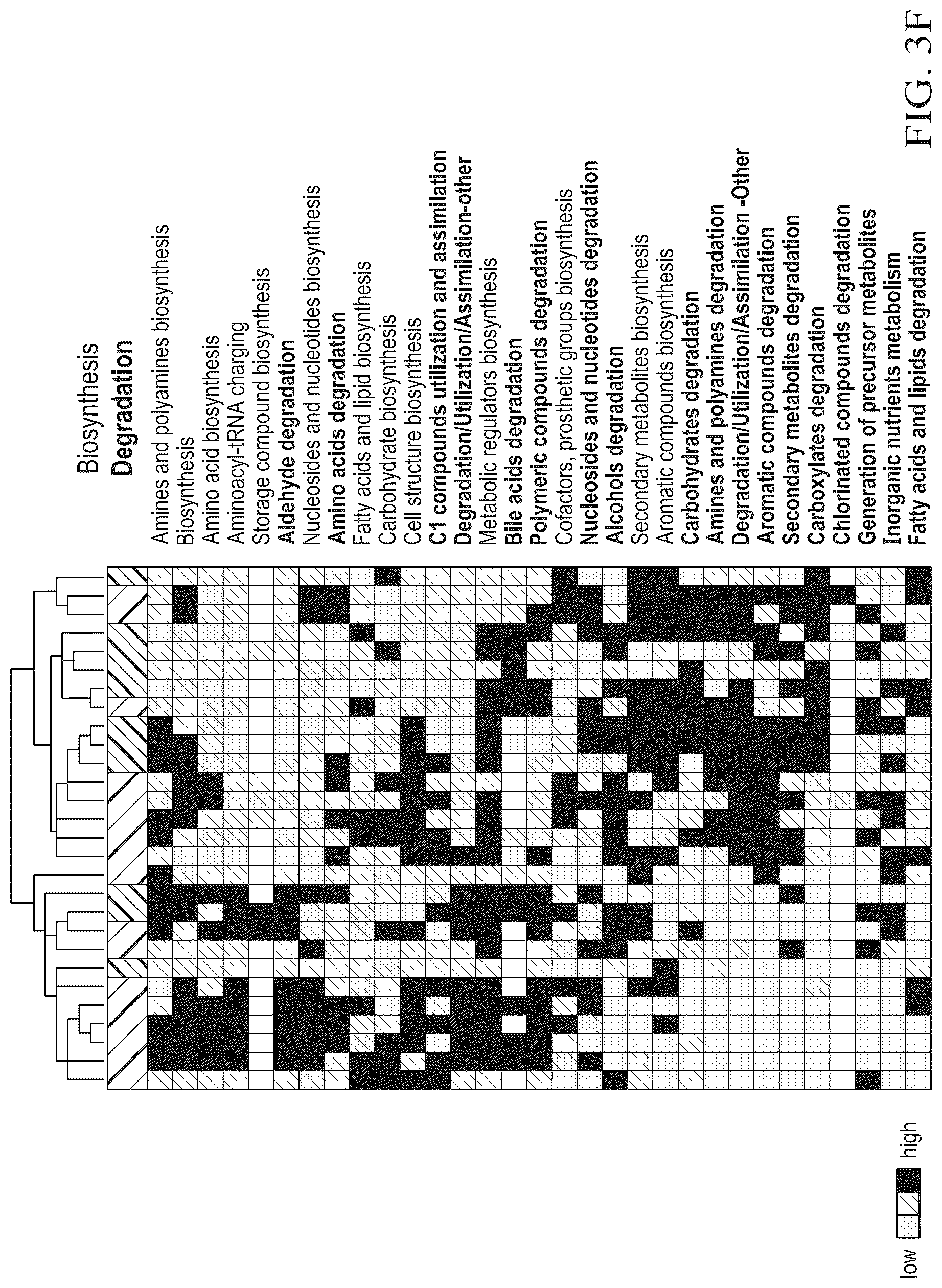 Patent US12318413 Figure 18 – Methods for enhancing immune checkpoint blockade therapy by modulating the microbiome