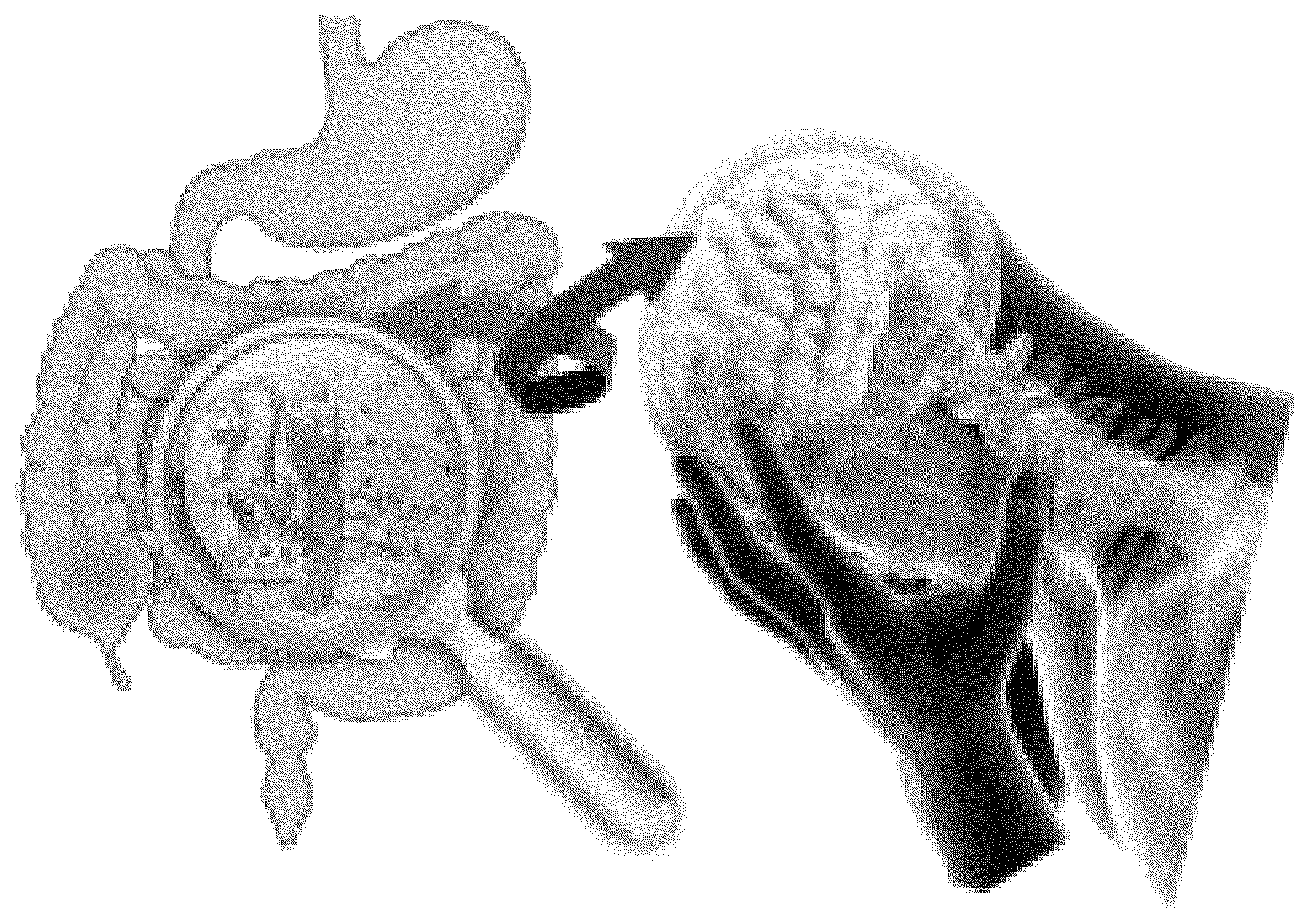 Patent US12318414 — Method and system to modify an individual's gut-brain axis to provide neurocognitive protection — Figure 1