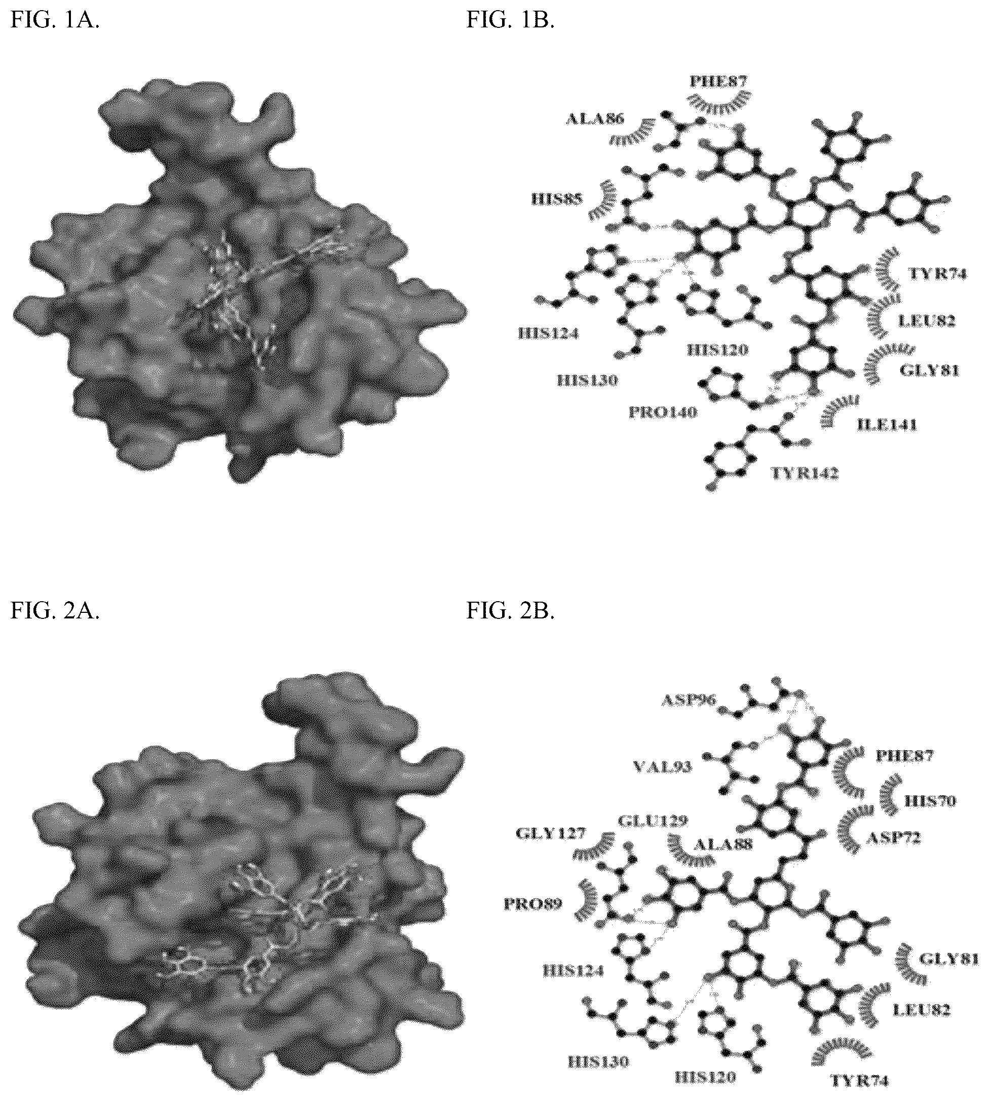 Patent US12318422 Figure 1 – Tannin-based antiproliferative pharmaceutical