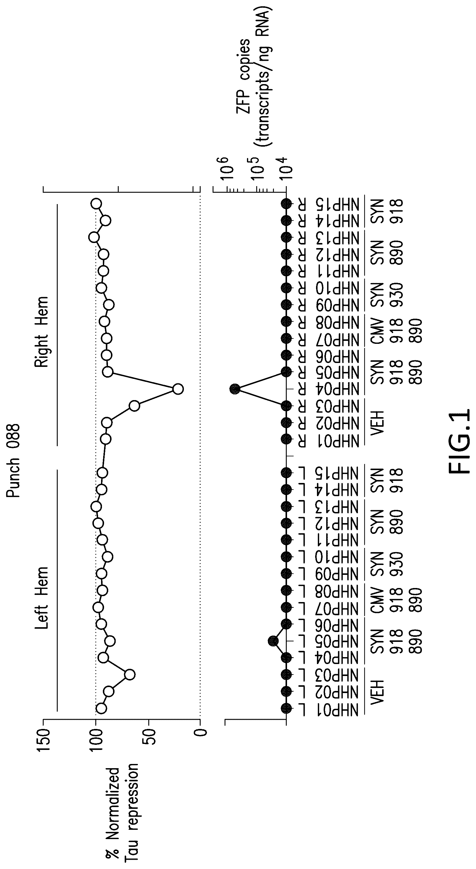 Patent US12318427 Figure 1 – Methods and compositions for modulation of tau proteins