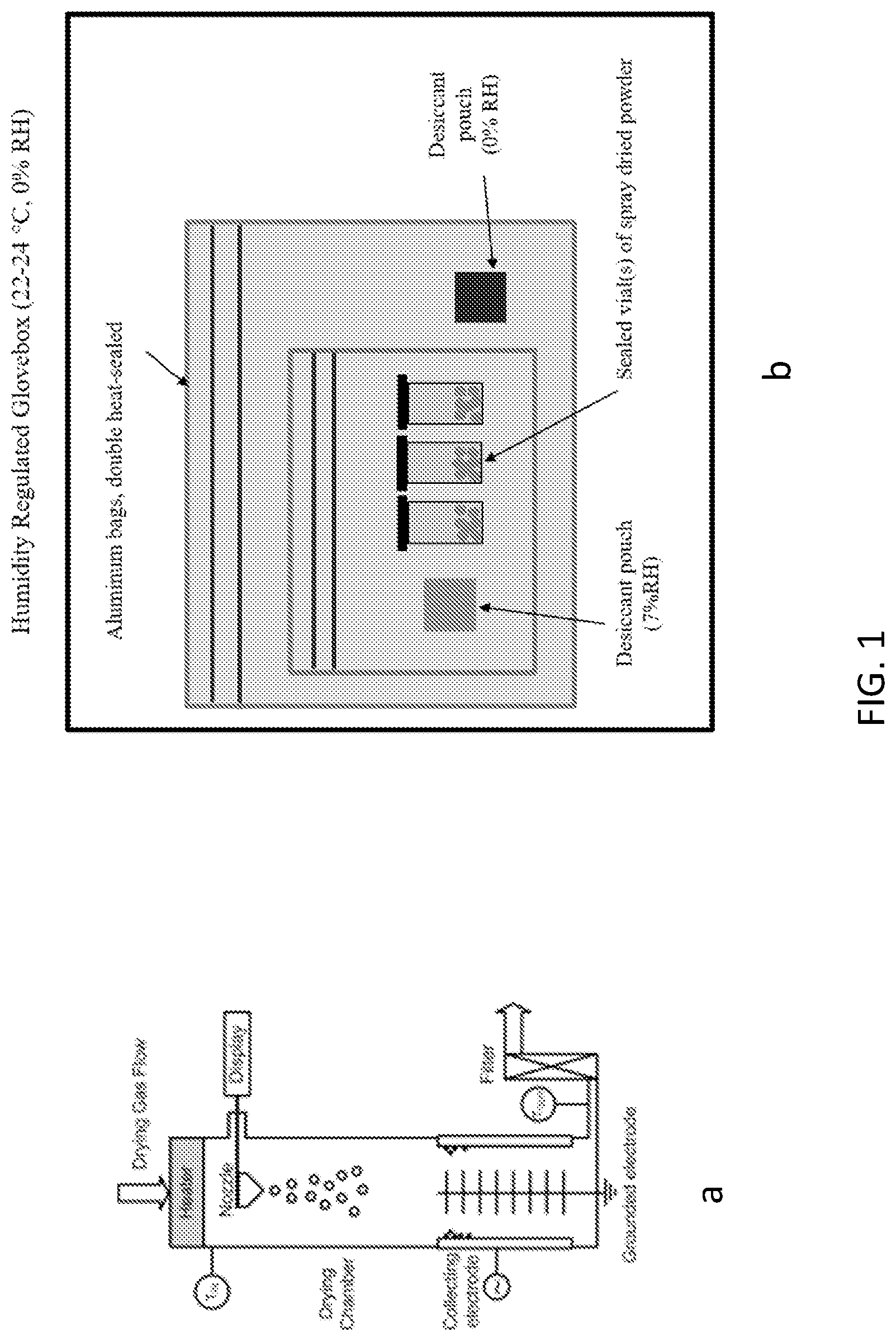 Patent US12318436 Figure 1 – Composition and method for spray drying an adjuvant vaccine emulsion