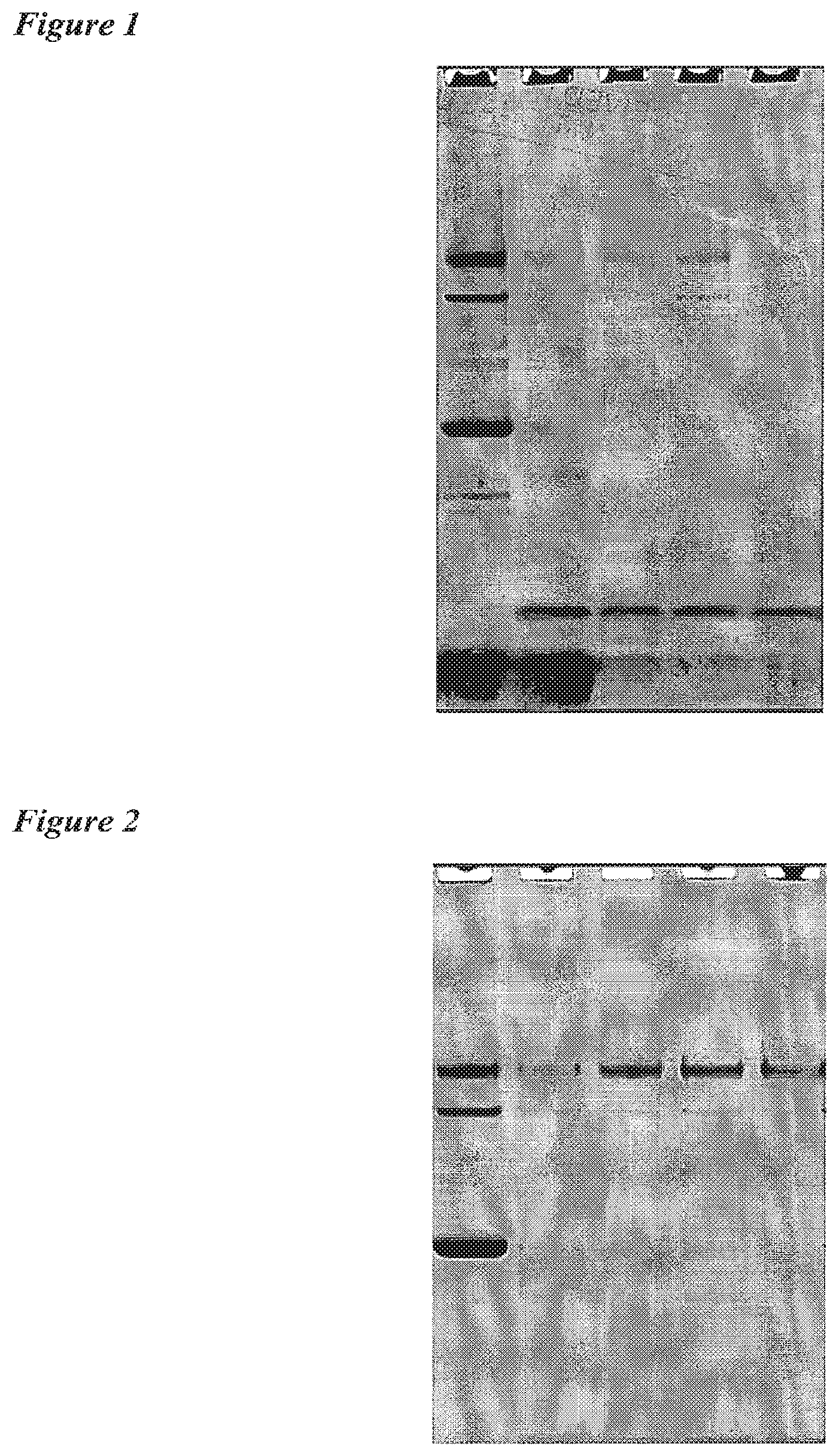Patent US12318442 — Preparation of influenza virus vaccine antigens — Figure 1