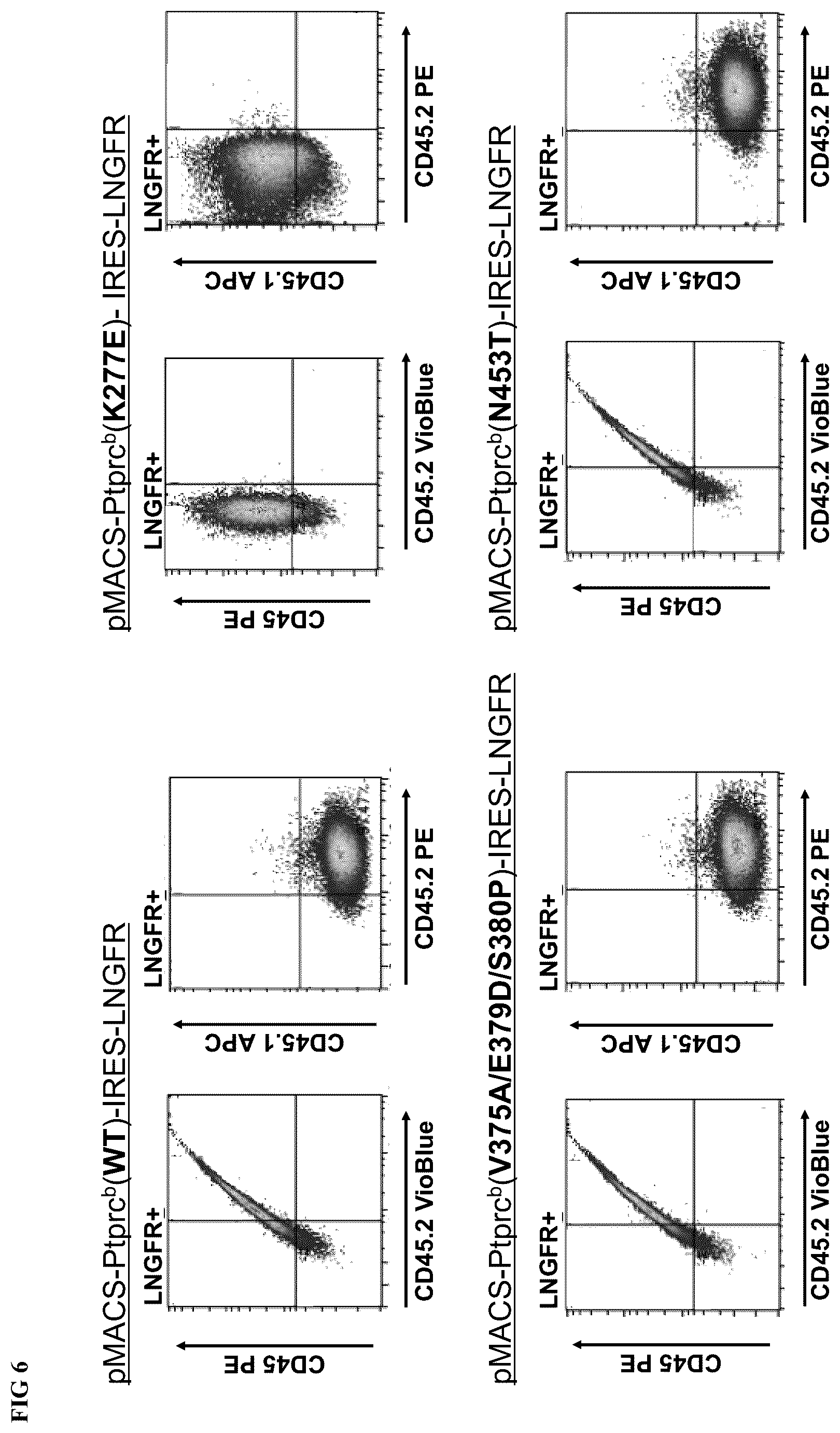 Patent US12318446 Figure 6 – Reducing side effects of immunotherapy using genetically modified hematopoietic cells