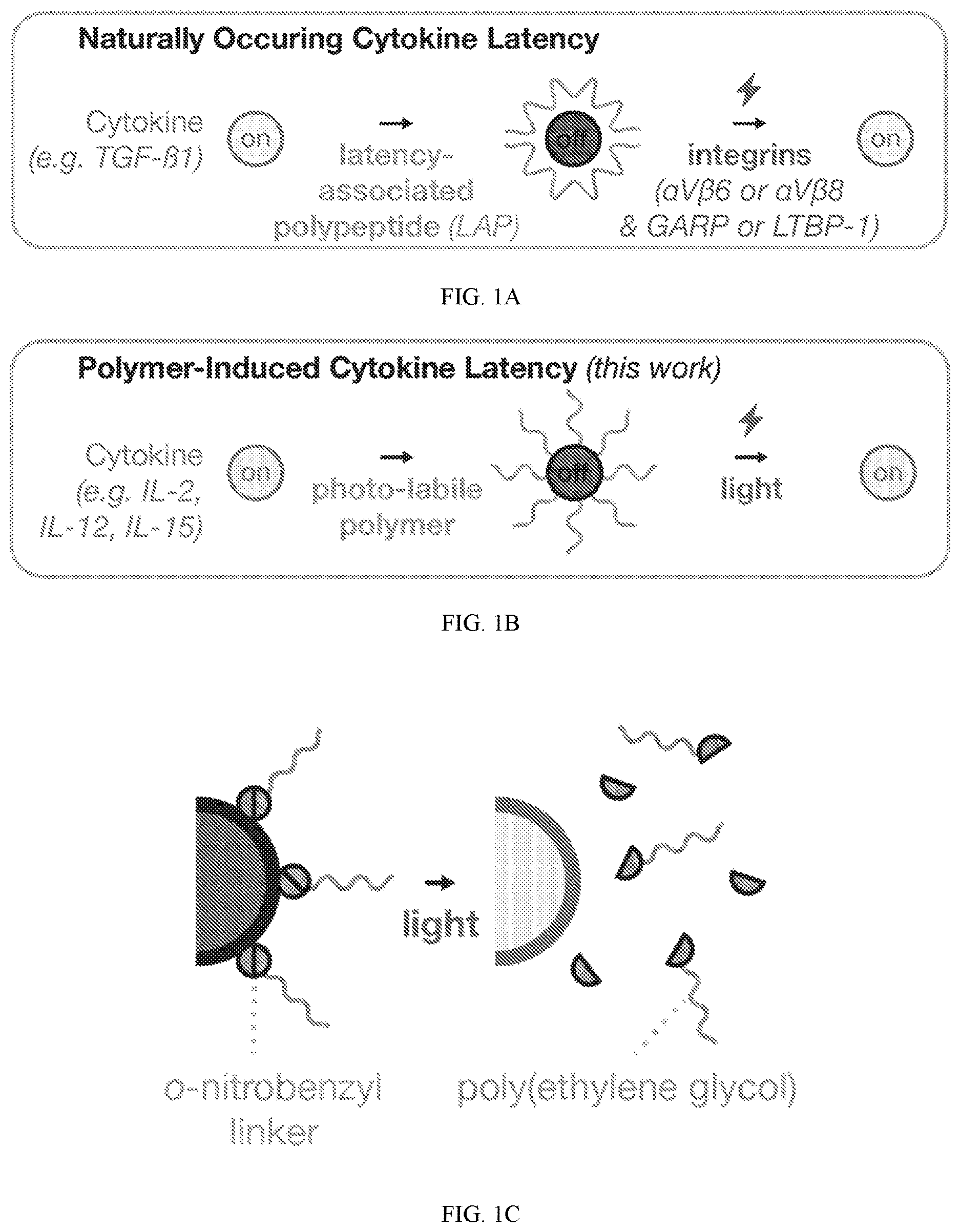 Patent US12318450 — Photolysis to unlock caged protein therapeutics — Figure 1