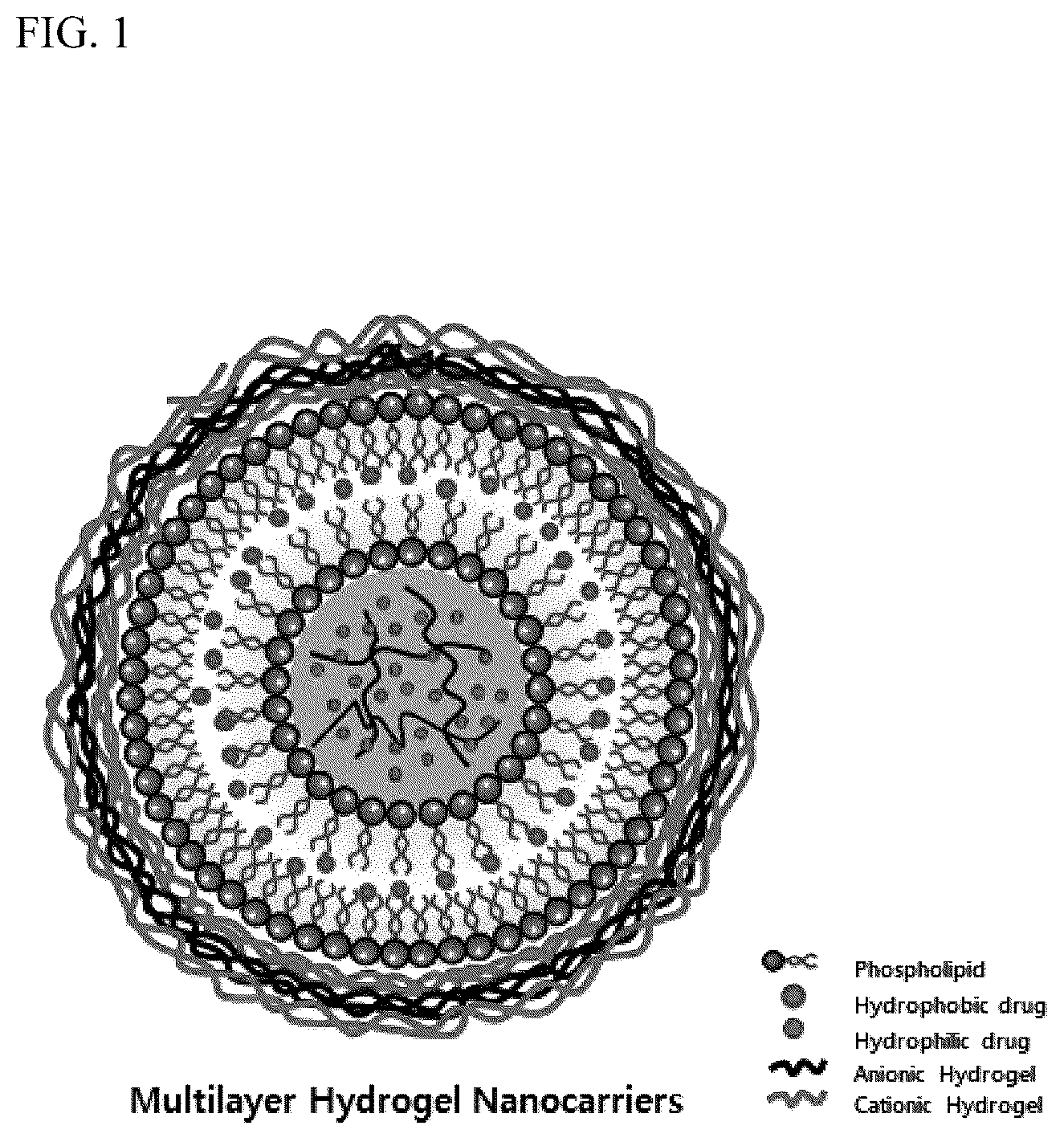 Patent US12318462 — Multi-coated nanoparticles comprising multiple coating layers of chitosan and polyglutamic acid, composition for skin care comprising the same and method for manufacturing the same — Figure 1