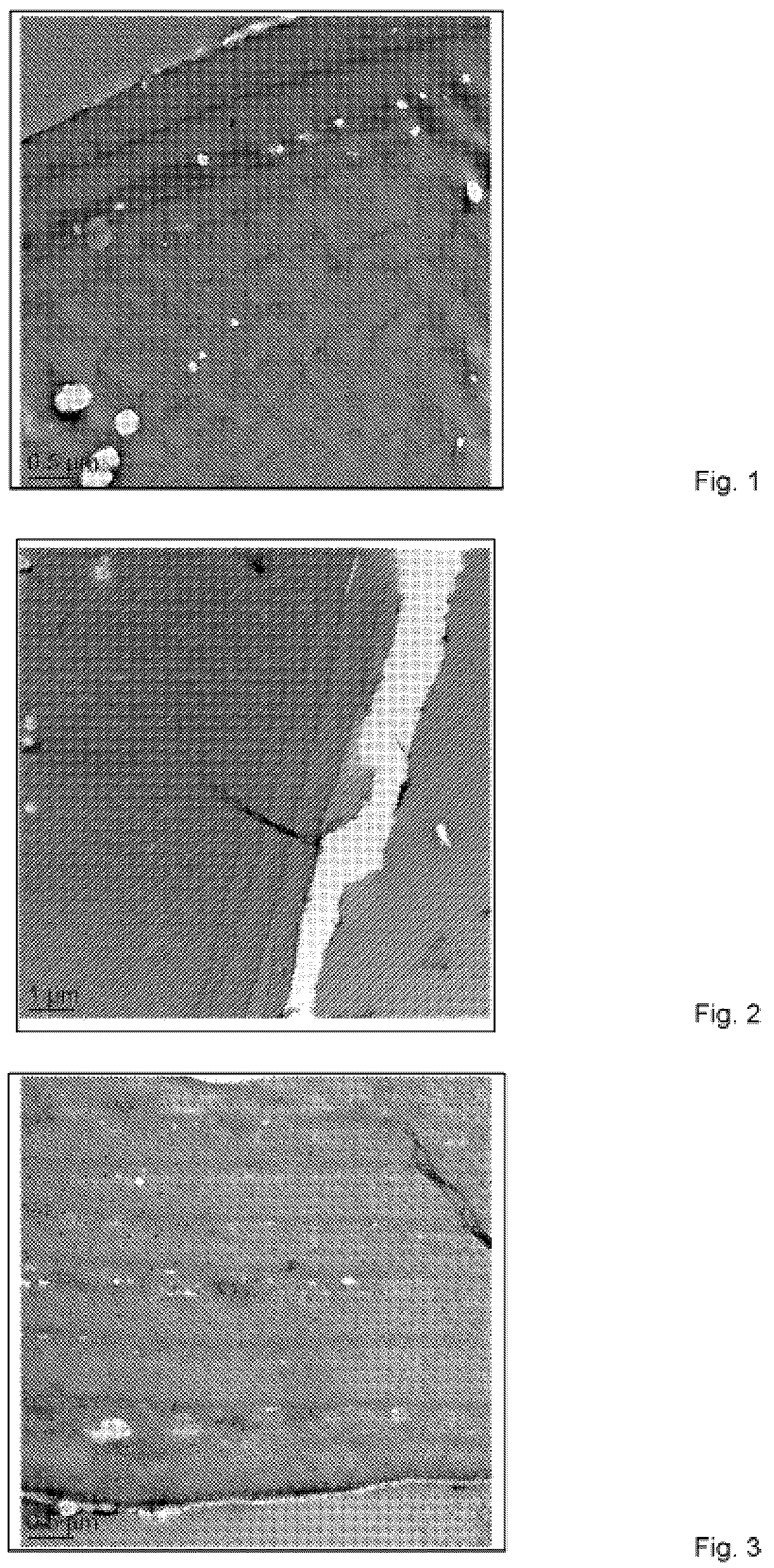 Patent US12318468 — Chemical composition — Figure 1