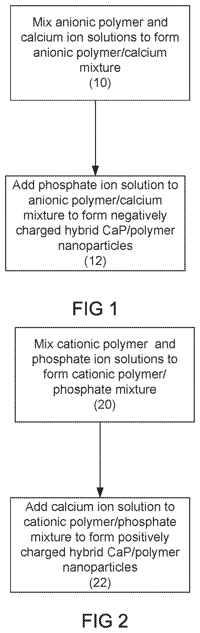 Patent US12318475 — Injectable pastes based on oppositely charged polymer/calcium phosphate nanoparticles — Figure 1