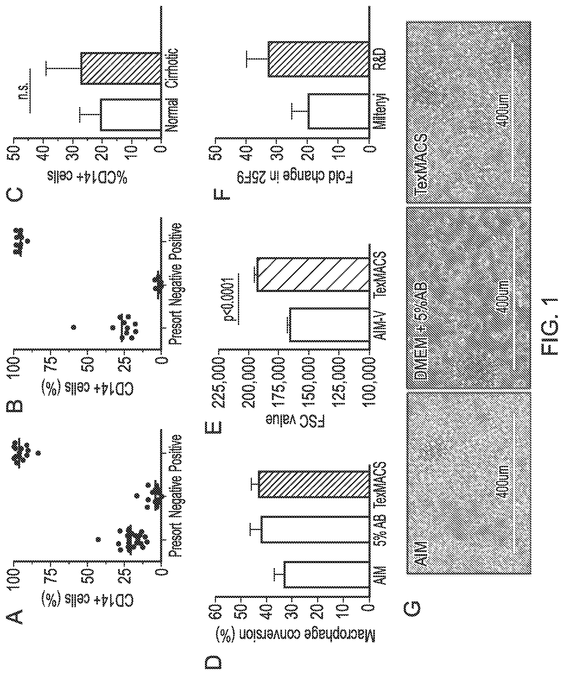 Patent US12318476 Figure 1 – Macrophage-based therapy